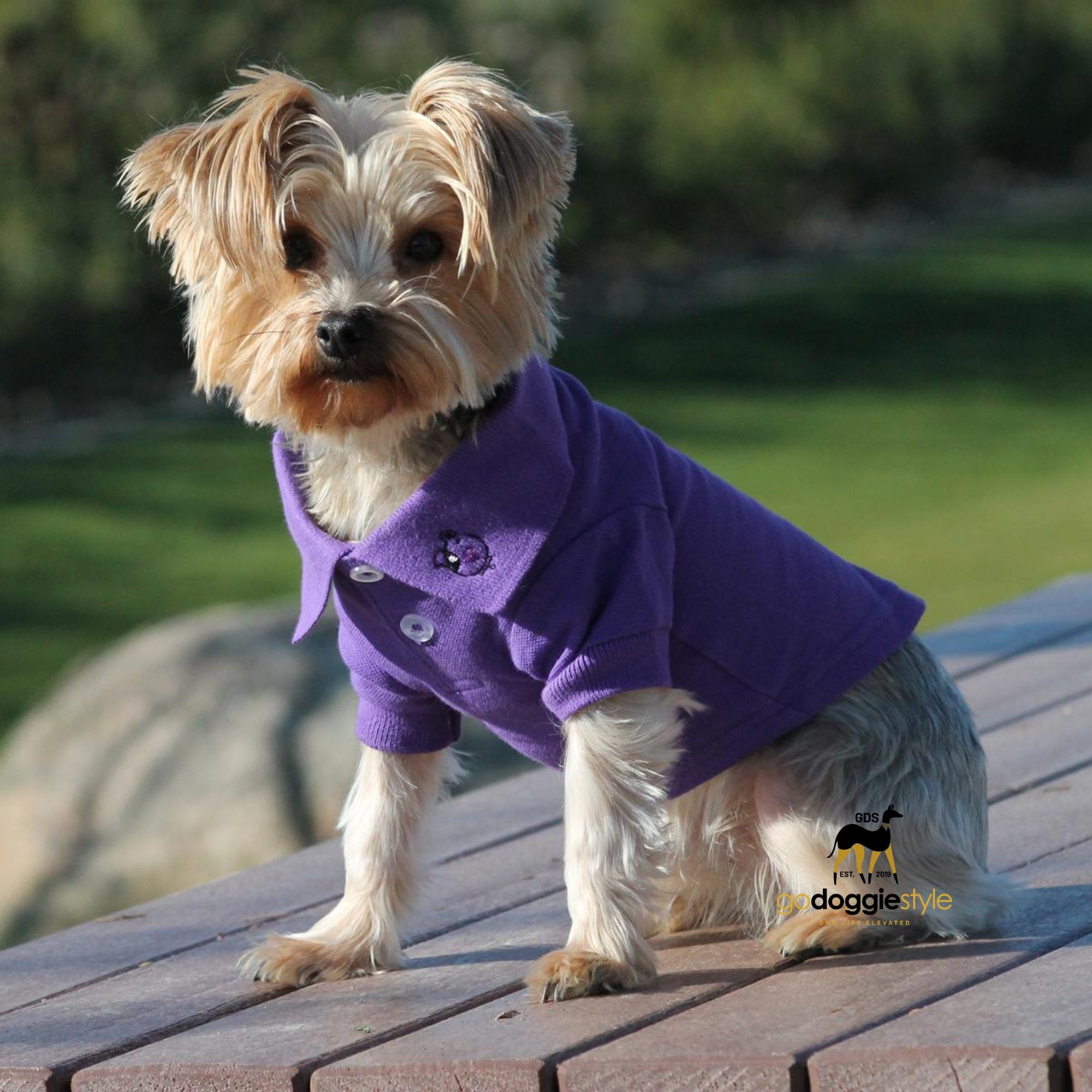 100% Cotton Solid Dog Polo - Ultra Violet - Dog Polo Shirt - Two Button Dog Polo - Dog Shirt - Dog Top - Easy Care - Size XS to 3 XL - godoggiestyle