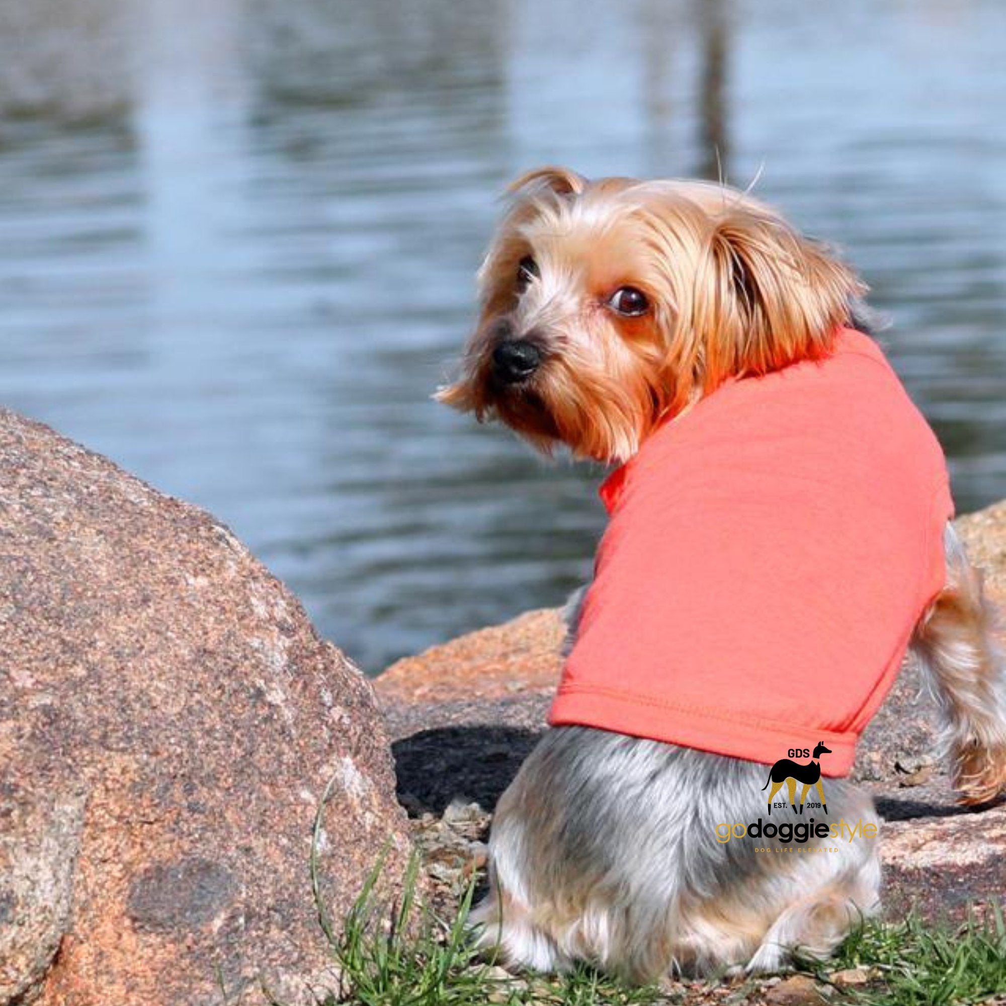 100% Cotton Solid Dog Tank Top - Coral - Spring Summer Dog Shirt - Dog Tee - Easy Care - Size XS to 3 XL - Dogs 3 to 90 lbs - godoggiestyle