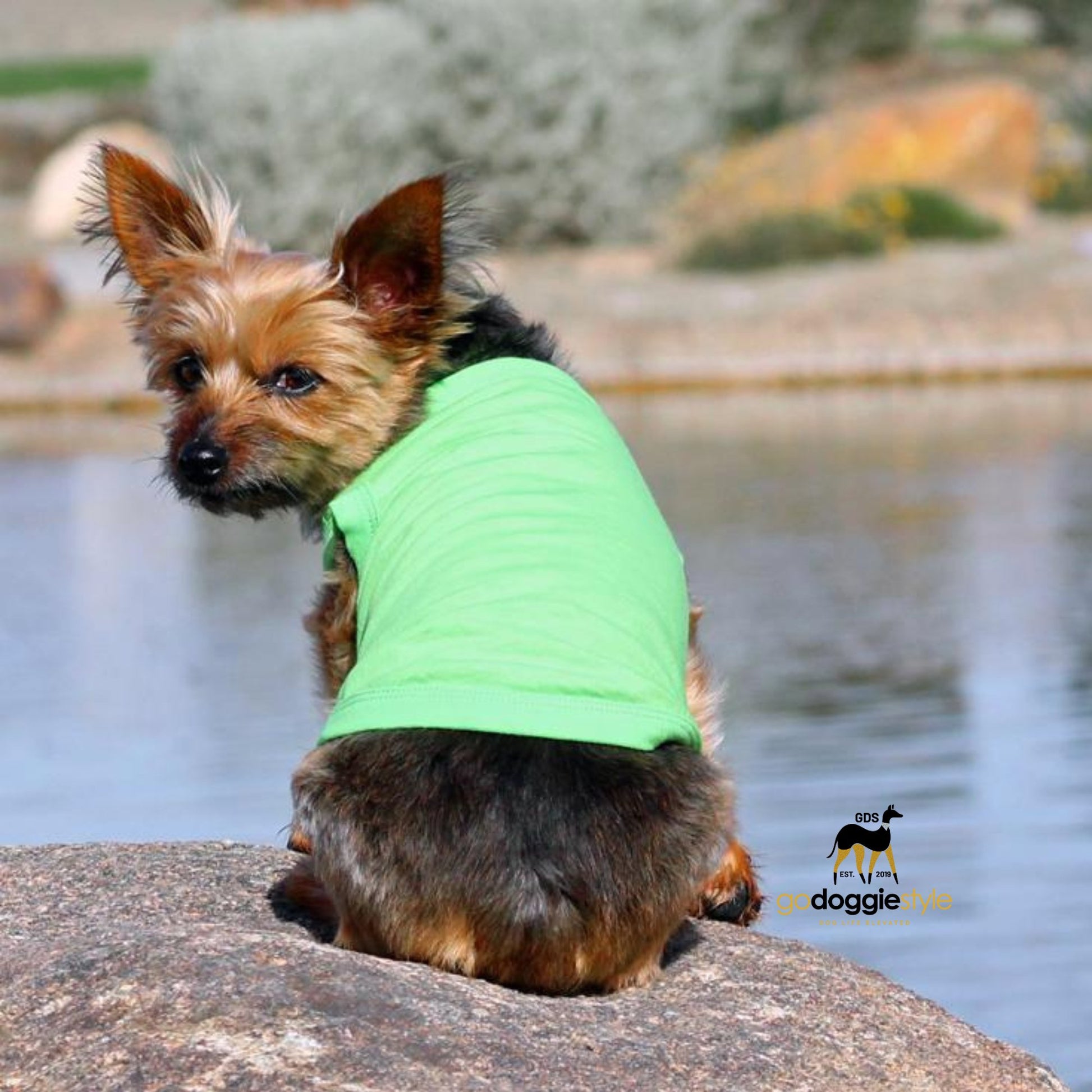 100% Cotton Solid Dog Tank Top - Green Flash - Spring Summer Dog Shirt - Dog Tee - Easy Care - Size XS to 3 XL - Dogs 3 to 90 lbs - godoggiestyle