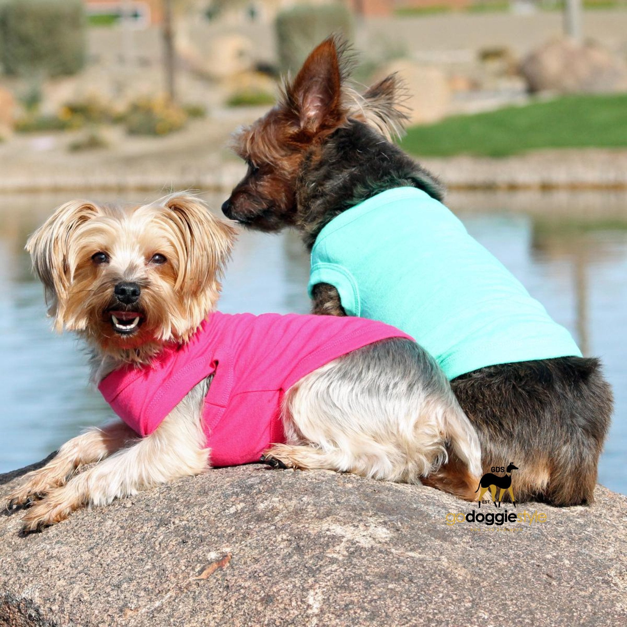 100% Cotton Solid Dog Tank Top - Raspberry Sorbet - Spring Summer Dog Shirt - Dog Tee - Easy Care - Size XS to 3 XL - Dogs 3 to 90 lbs - godoggiestyle