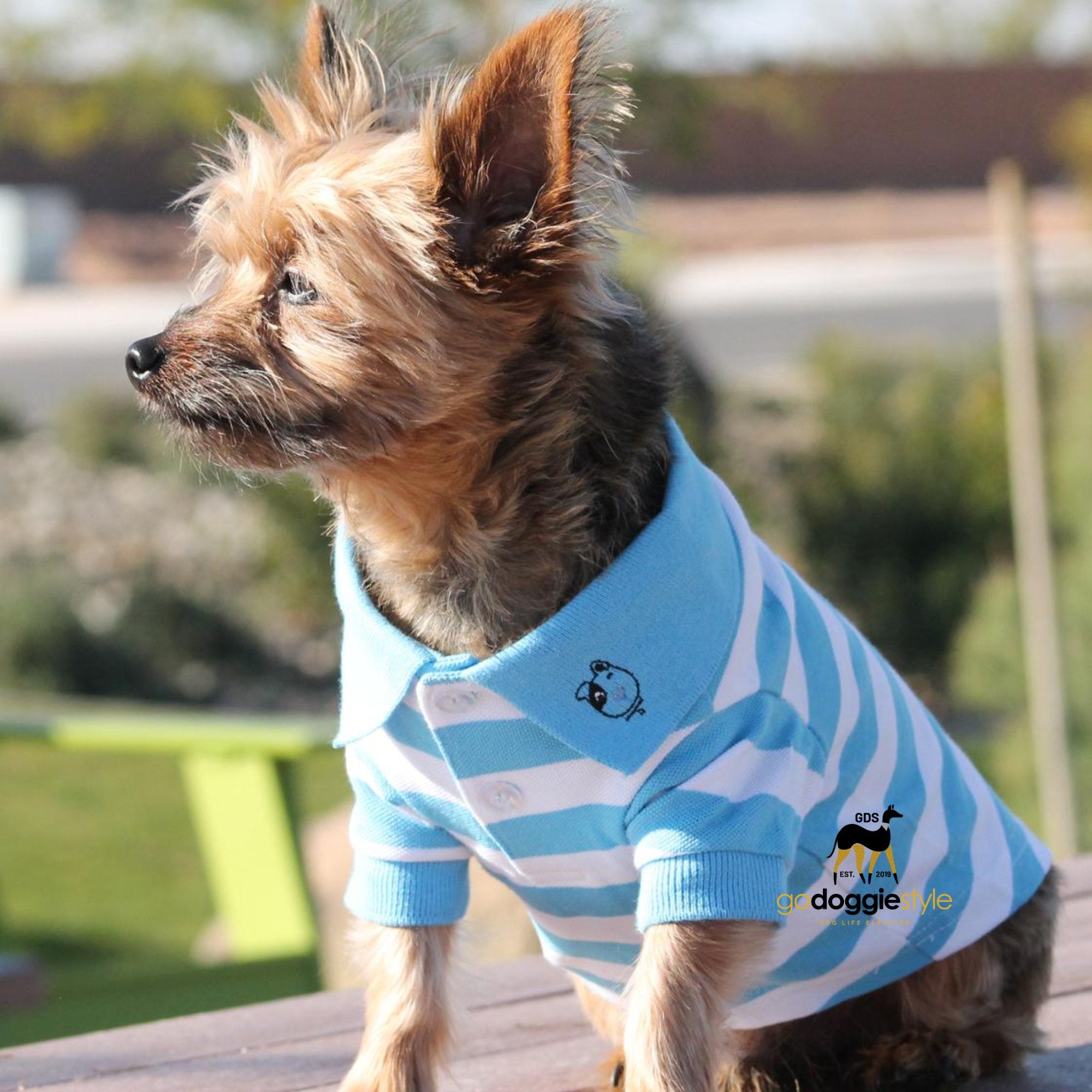 100% Cotton Striped Dog Polo - Blue Niagara And White - Dog Polo Shirt - Two Button Dog Polo - Dog Shirt - Dog Top - Easy Care - XS to 3 XL - godoggiestyle