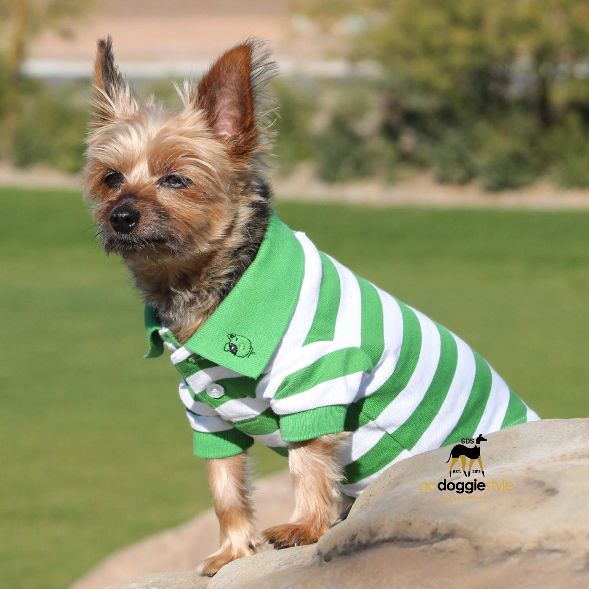 100% Cotton Striped Dog Polo - Greenery And White - Dog Polo Shirt - Two Button Dog Polo - Easy Care - Size XS to 3 XL - godoggiestyle