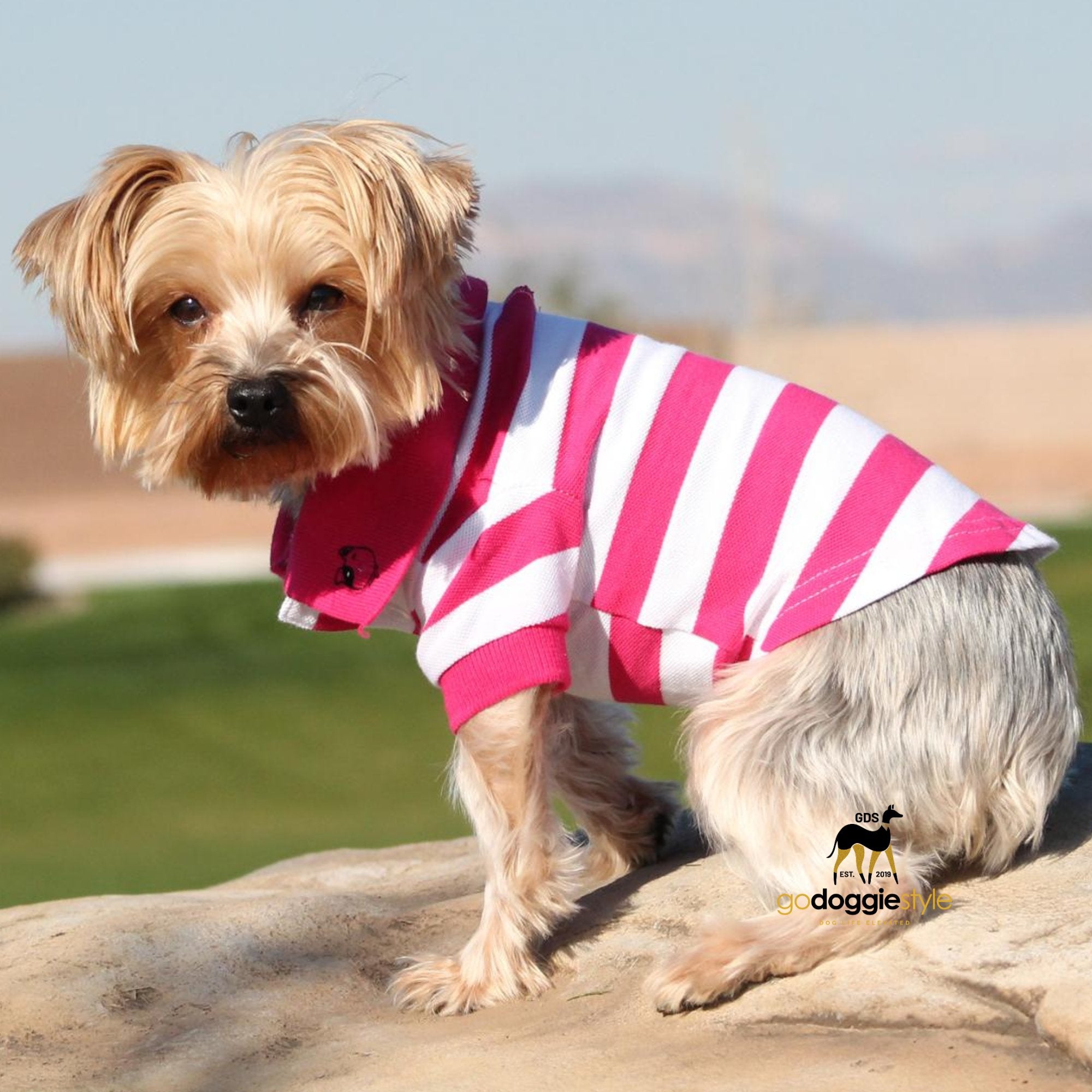 100% Cotton Striped Dog Polo - Pink Yarrow And White - Dog Polo Shirt - Two Button Dog Polo - Easy Care - Size XS to 3 XL - godoggiestyle