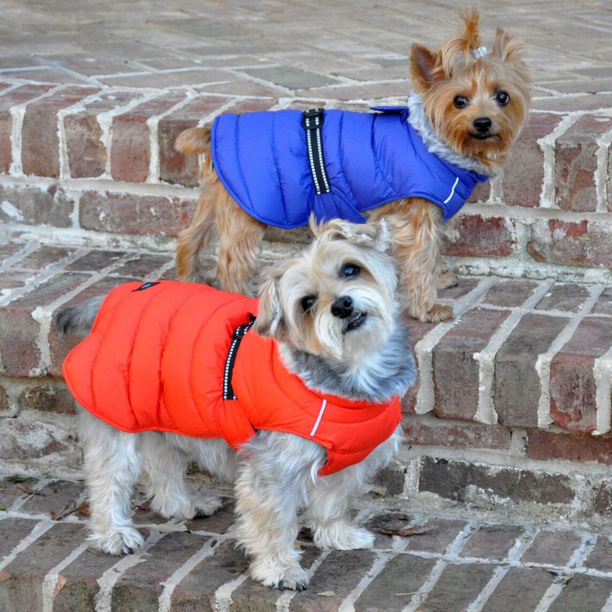 Alpine Extreme Weather Waterproof Puffer Dog Coat - Orange - Warm Fleece Lined Winter Dog Coat Jacket - Sizes XS to 5XL - Dogs 3 to 150 lbs - godoggiestyle
