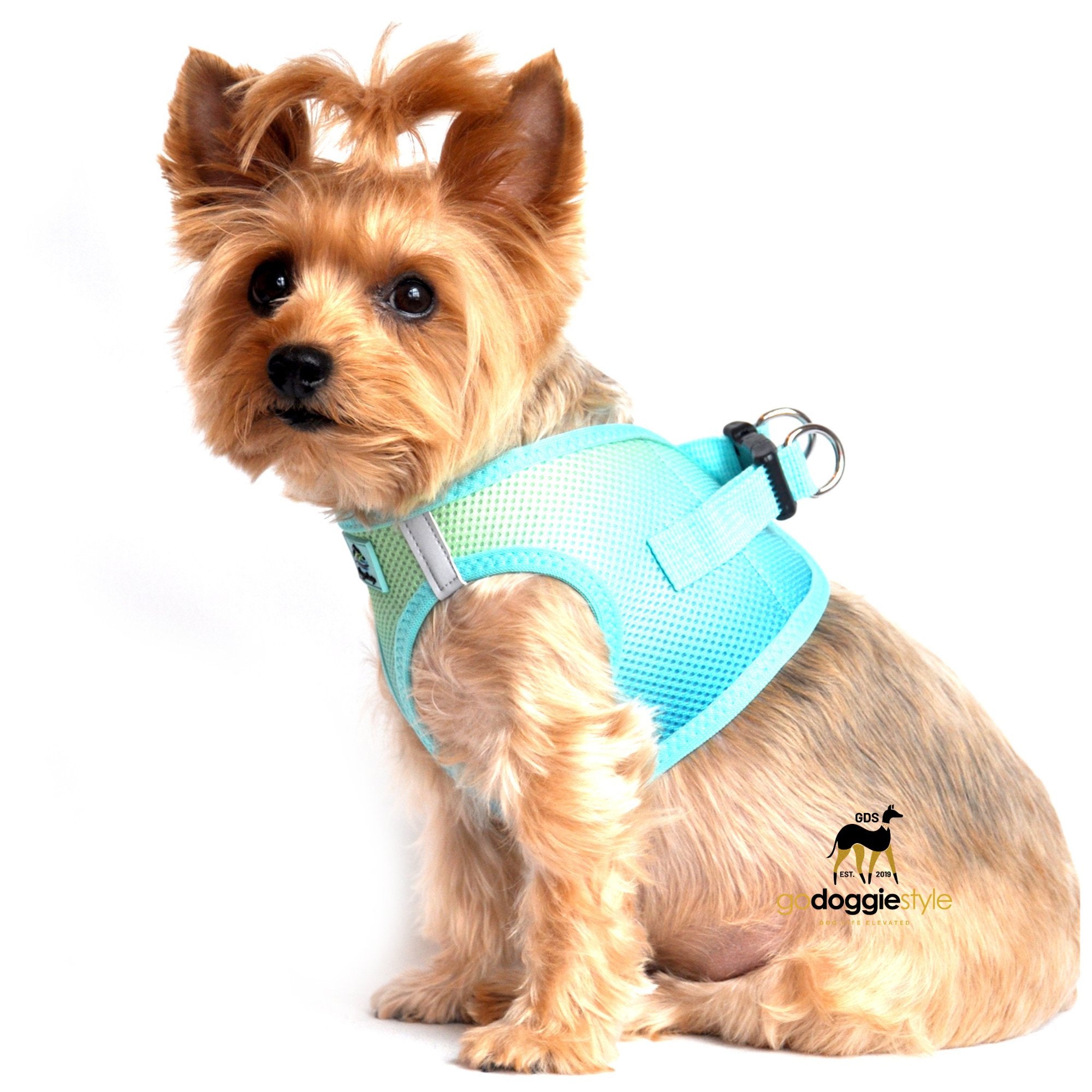 American River Choke Free Adjustable Step In Dog Harness - Aruba Blue - 386 lb Certified Break Strength - Reflective Safety Harness - XXS to 3XL - Dogs 2 to 90 lbs - godoggiestyle