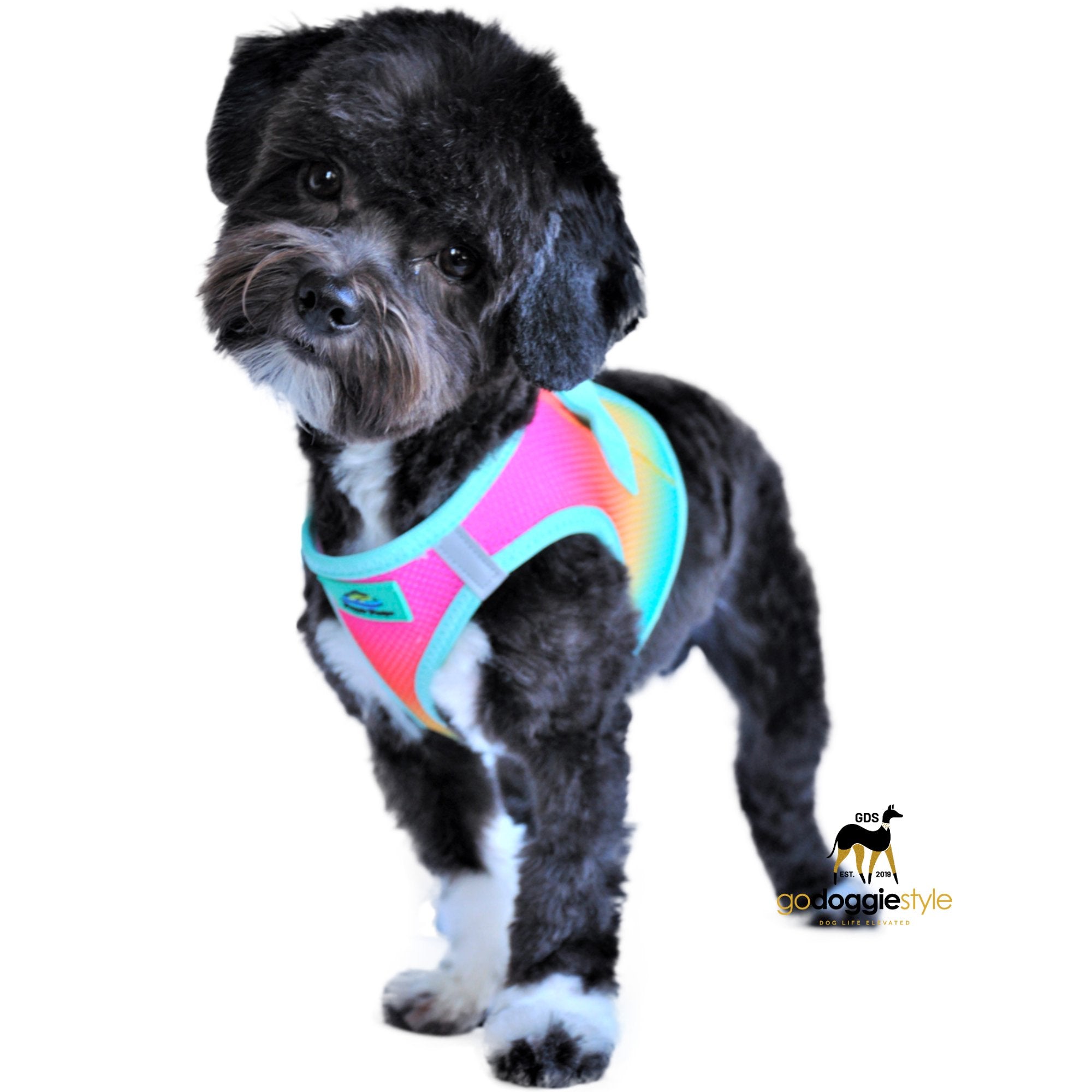 American River Choke Free Adjustable Step In Dog Harness - Beach Party Ombre - 386 lb Certified Break Strength - Reflective Safety Harness - XXS to 3XL - Dogs 2 to 90 lbs - godoggiestyle