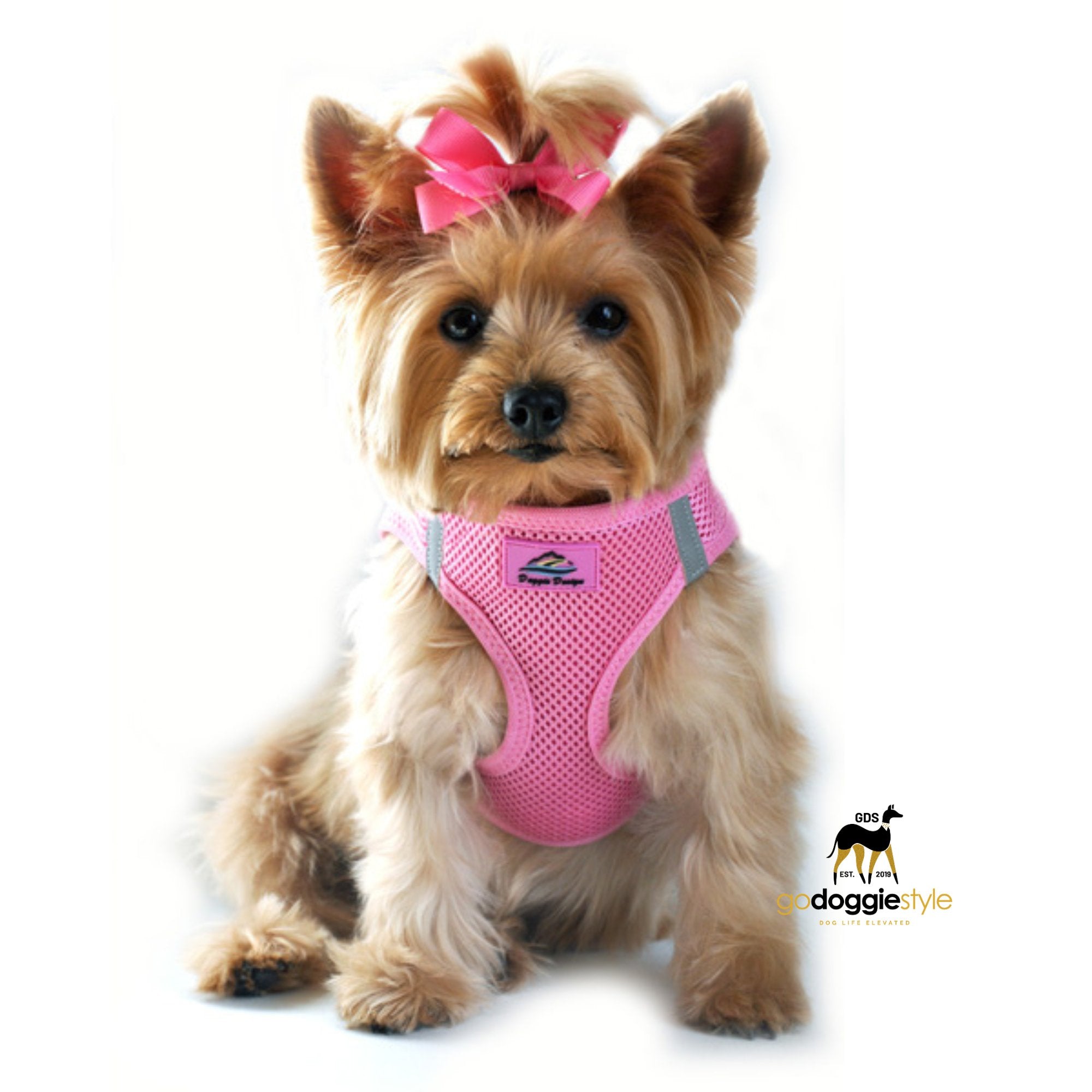 American River Choke Free Adjustable Step In Dog Harness - Candy Pink - 386 lb Certified Break Strength - Reflective Safety Harness - XXS to 3XL - Dogs 2 to 90 lbs - godoggiestyle