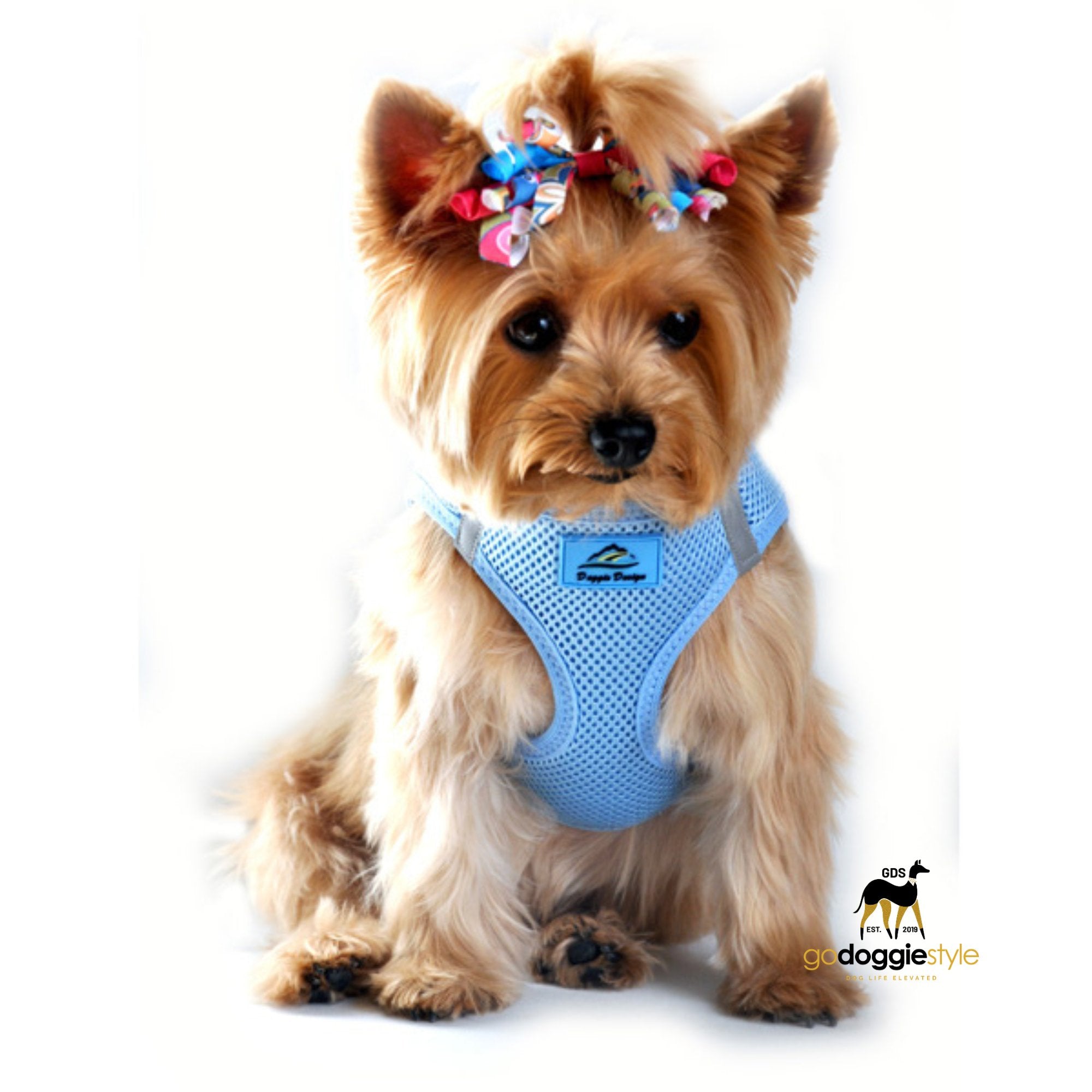 American River Choke Free Adjustable Step In Dog Harness - Light Blue - 386 lb Certified Break Strength - Reflective Safety Harness - XXS to 3XL - Dogs 2 to 90 lbs - godoggiestyle
