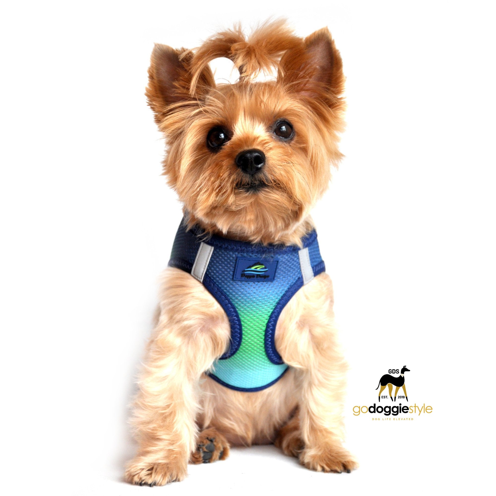 American River Choke Free Adjustable Step In Dog Harness - Northern Lights - 386 lb Certified Break Strength - Reflective Safety Harness - XXS to 3XL - Dogs 2 to 90 lbs - godoggiestyle