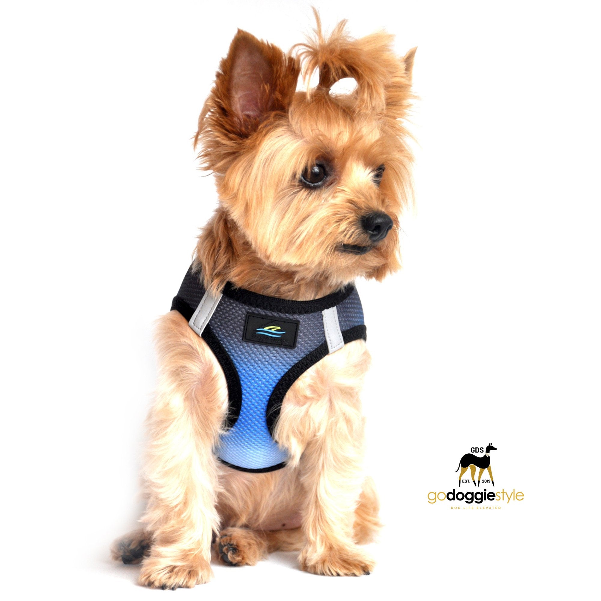 American River Choke Free Adjustable Step In Dog Harness Ombre Collection - Midnight Sky - 386 lb Certified Break Strength - Reflective Safety Harness - XXS to 3XL - Dogs 2 to 90 lbs - godoggiestyle