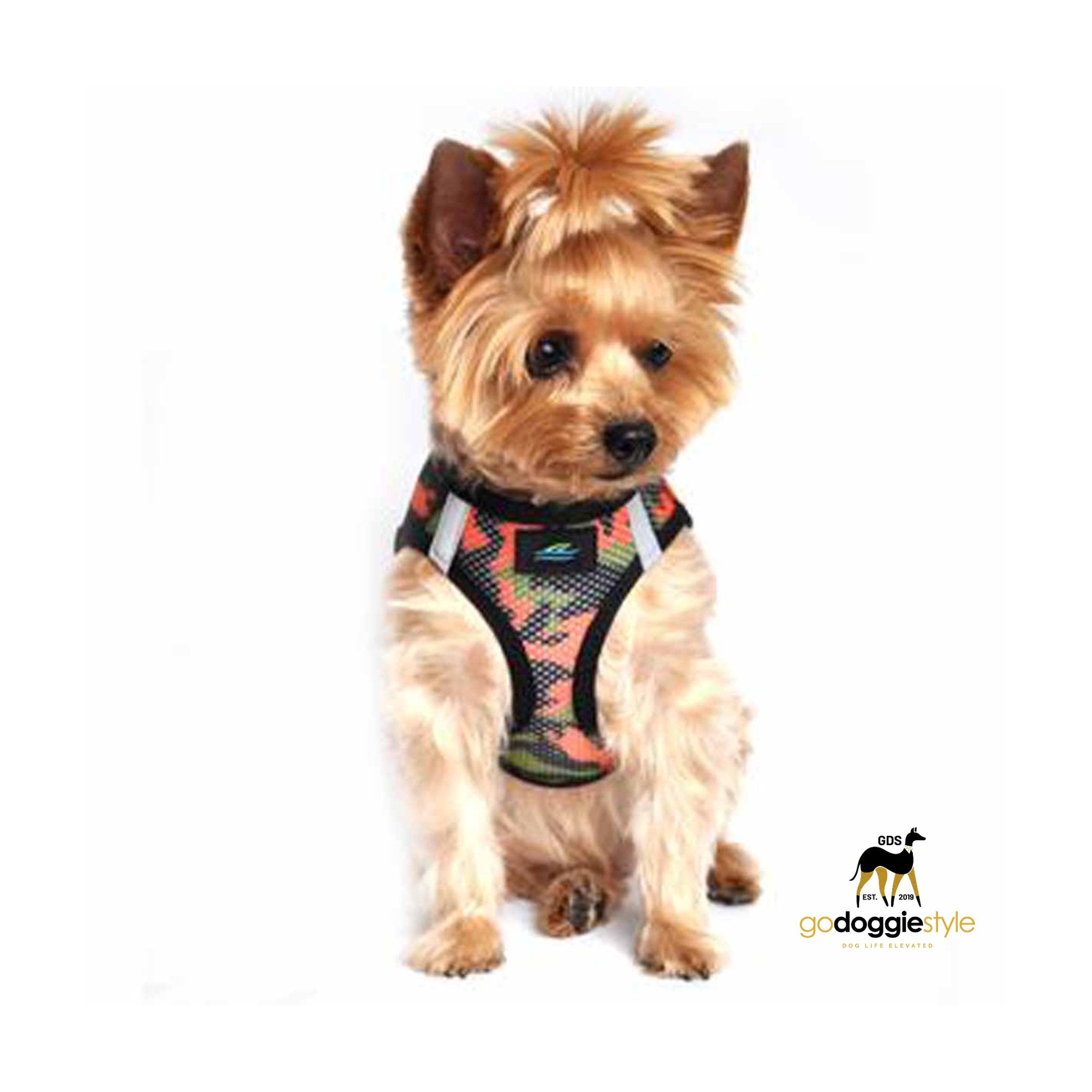 American River Choke Free Adjustable Step In Dog Harness - Orange Camo - 386 lb Certified Break Strength - Reflective Safety Harness - XXS to 3XL - Dogs 2 to 90 lbs - godoggiestyle
