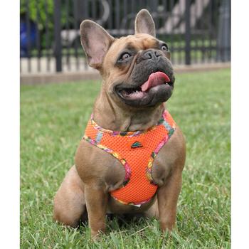 American River Choke Free Harness Hawaiian Trim - Sunset Orange - godoggiestyle
