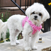 American River Choke Free Harness - Pink Polka Dot - 386 lb Certified Break Strength - Reflective Safety Harness - XXS to 3XL - Dogs 2 to 90 lbs - godoggiestyle