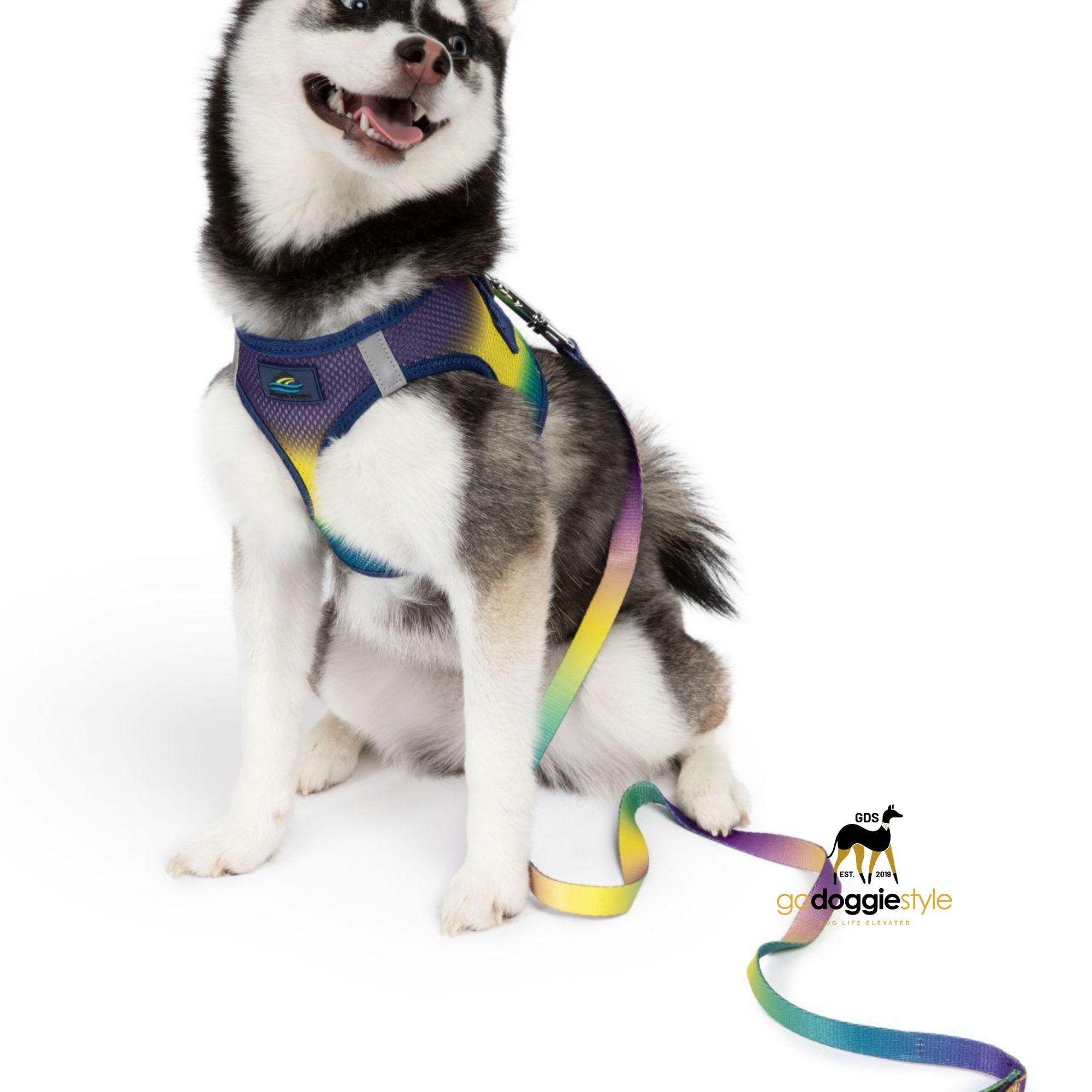 American River Ombre Dog Leash-Cosmic Splash-Padded Soft Grip-Strong Clasp-4 feet or 6 feet options-godoggiestyle