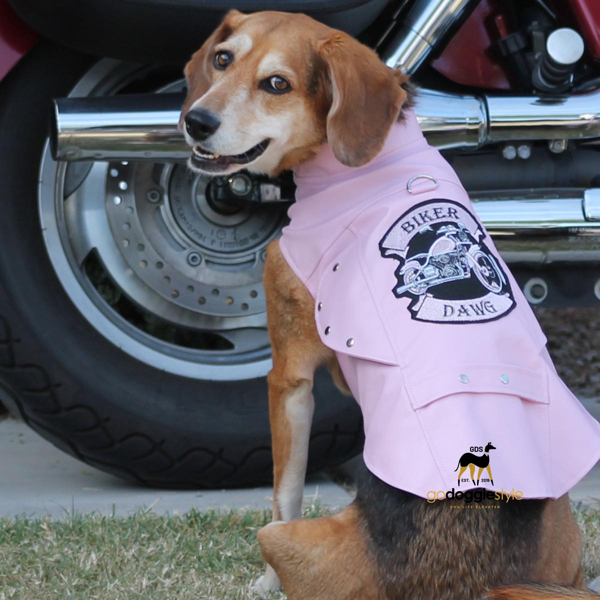 Biker Dawg Faux Leather Motorcycle Dog Jacket - Pink - Vintage Embroidery Design - Dog Vest With D-Ring Leash Attachment - XS to 3XL - godoggiestyle