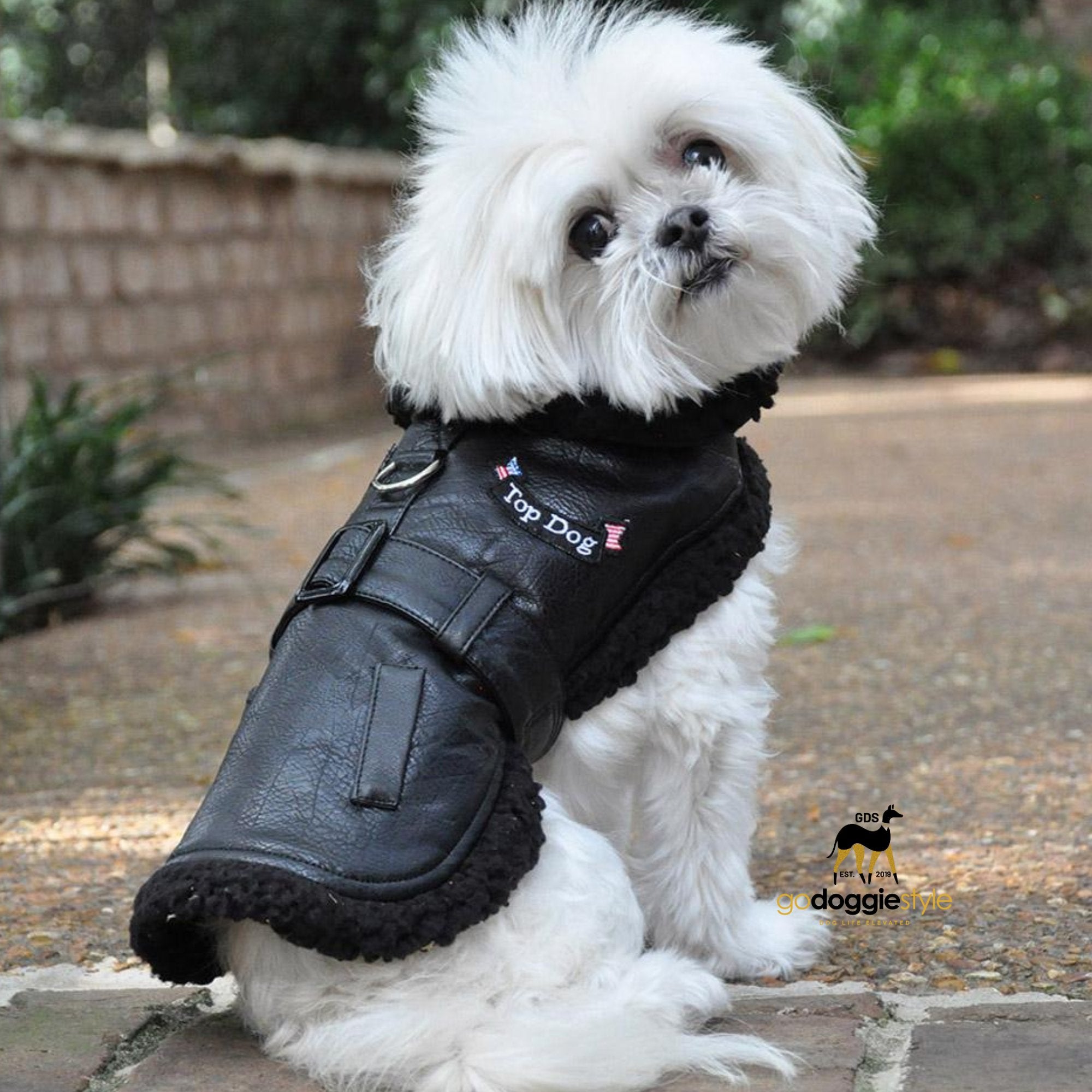 Black Faux Leather Top Dog Flight Coat - Soft Black Faux Sherpa Lined Dog Coat - Warm Winter Dog Coat - XS to 2XL - Fits Dogs 3 to 60 lbs - godoggiestyle