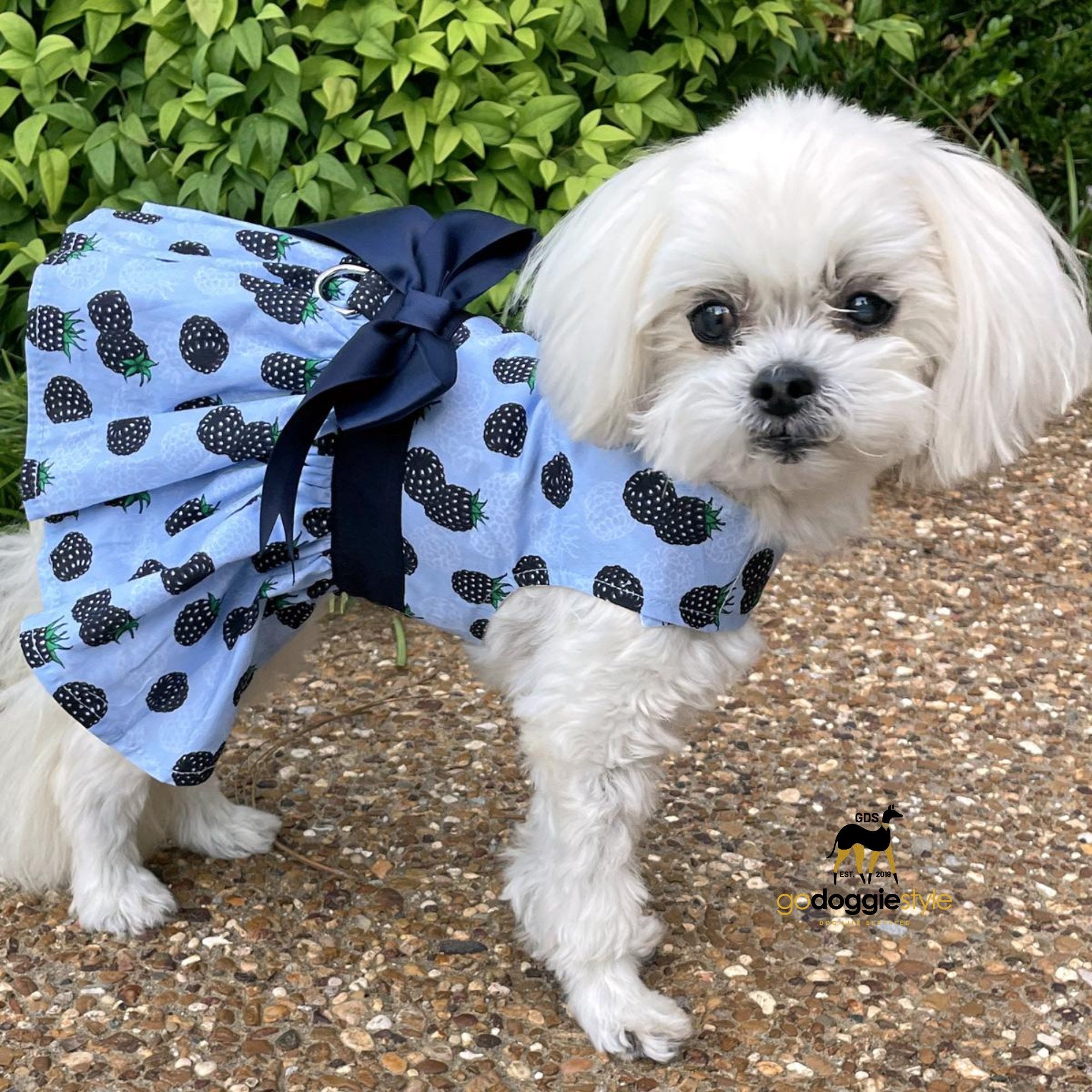 Blackberry Dog Harness Dress With Leash & Satin Bow - Spring Holiday Easter Dog Dress Summer - XS to XL - 3 to 30 lbs - godoggiestyle