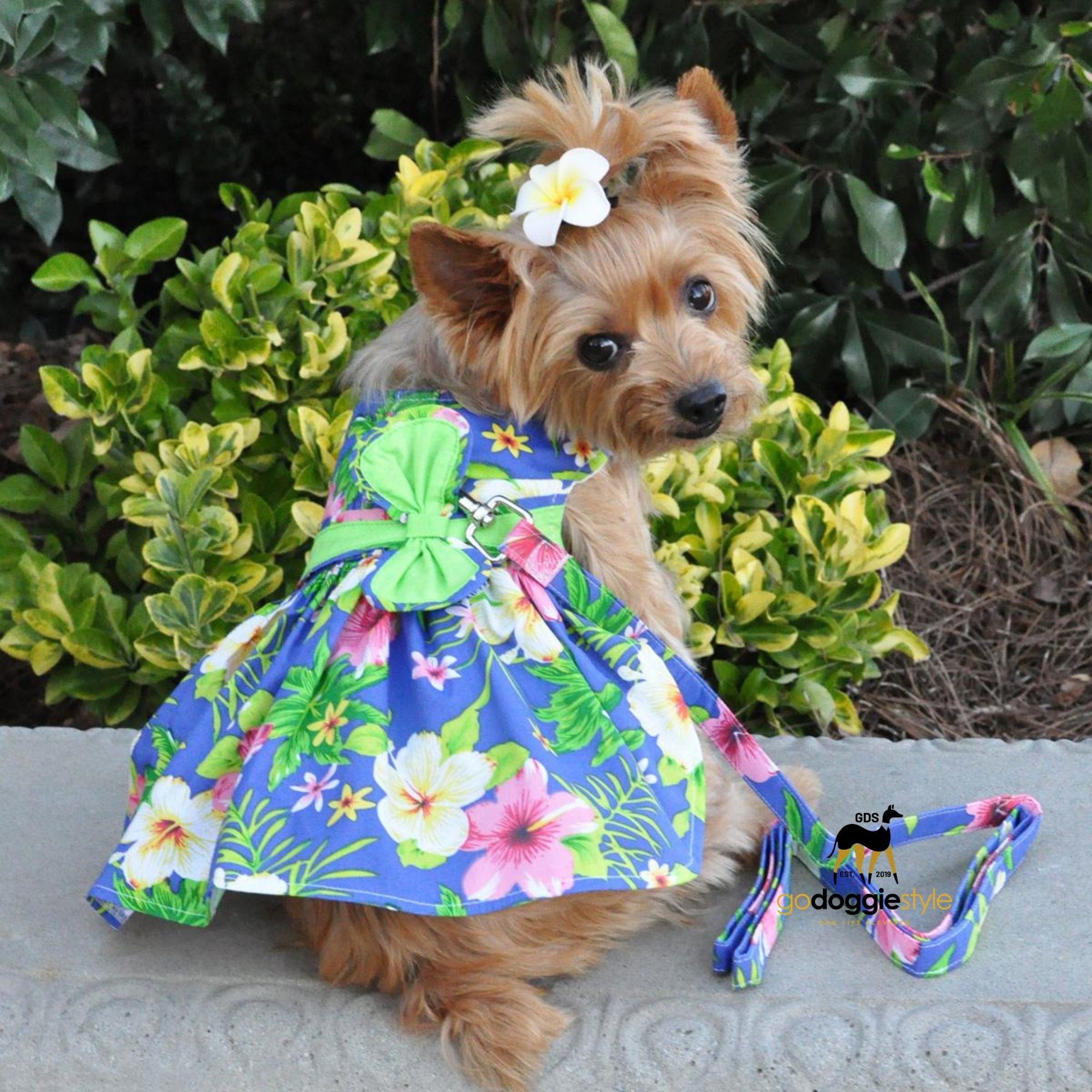 Blue Lagoon Hawaiian Hibiscus Dog Dress with Matching Leash - Spring Summer Dog Dress - Flower Dog Dress With Bow - XS to XL - 3 to 30 lbs - godoggiestyle