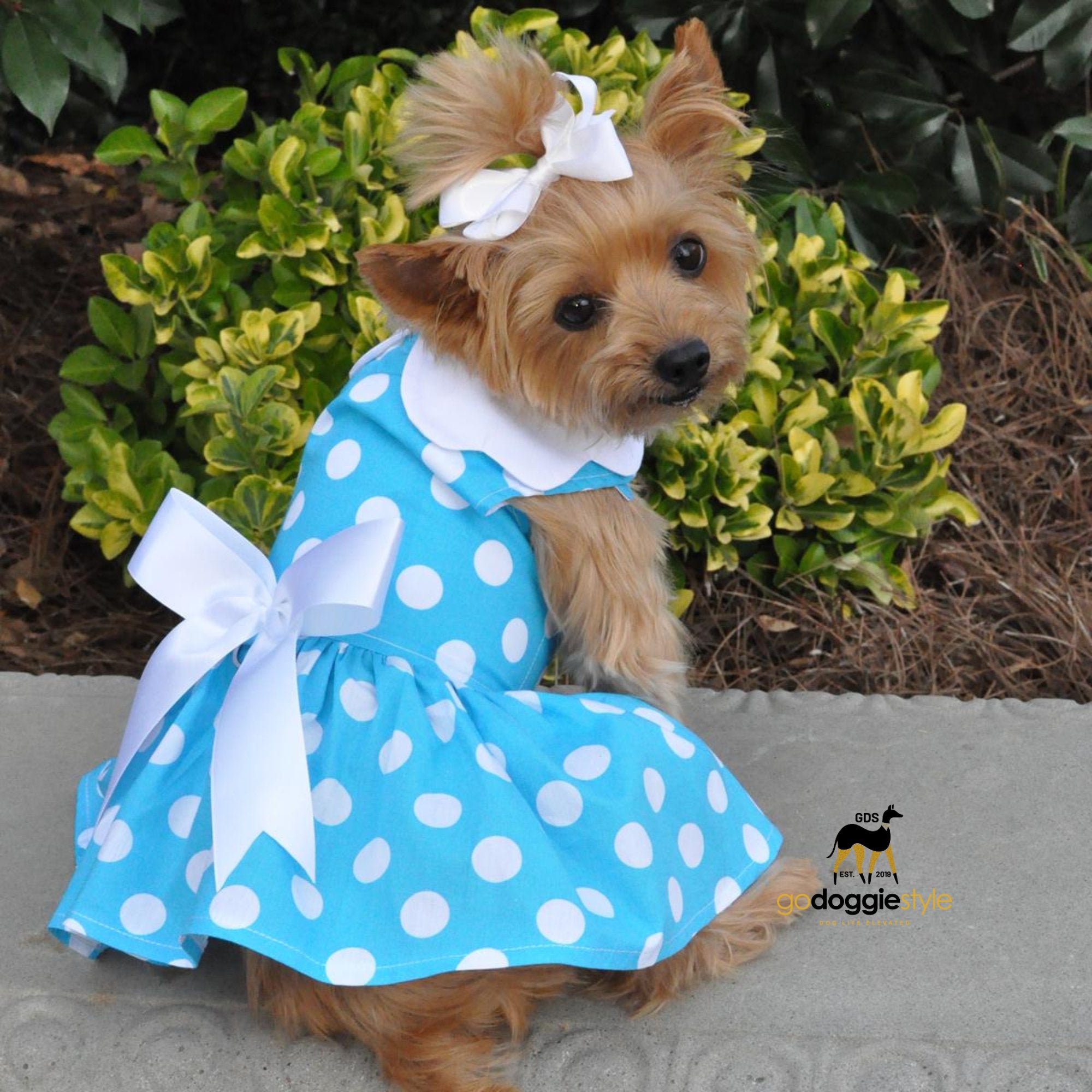 Blue Polka Dot Dog Dress with Matching Leash - Spring Summer Dog Dress - Polka Dot Dog Dress With Bow - XS to XL - 3 to 30 lbs - godoggiestyle