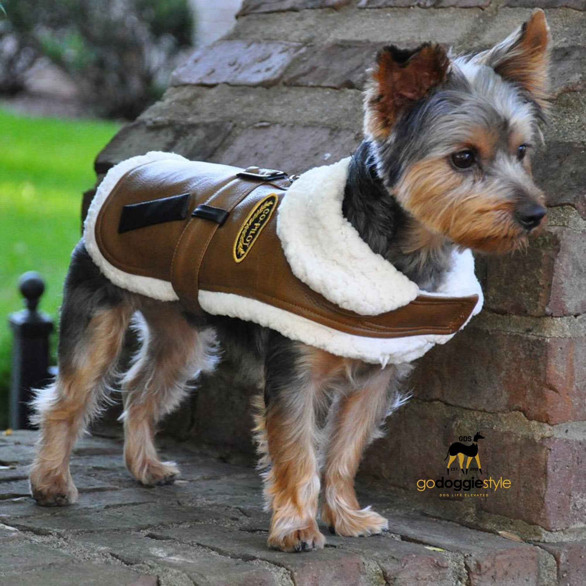 Brown and Black Faux Leather Bomber Dog Coat Harness And Leash - Warm Dog Coat - Faux Sherpa Lined Dog Coat - XS to XXL - 3 to 60 Pounds - godoggiestyle