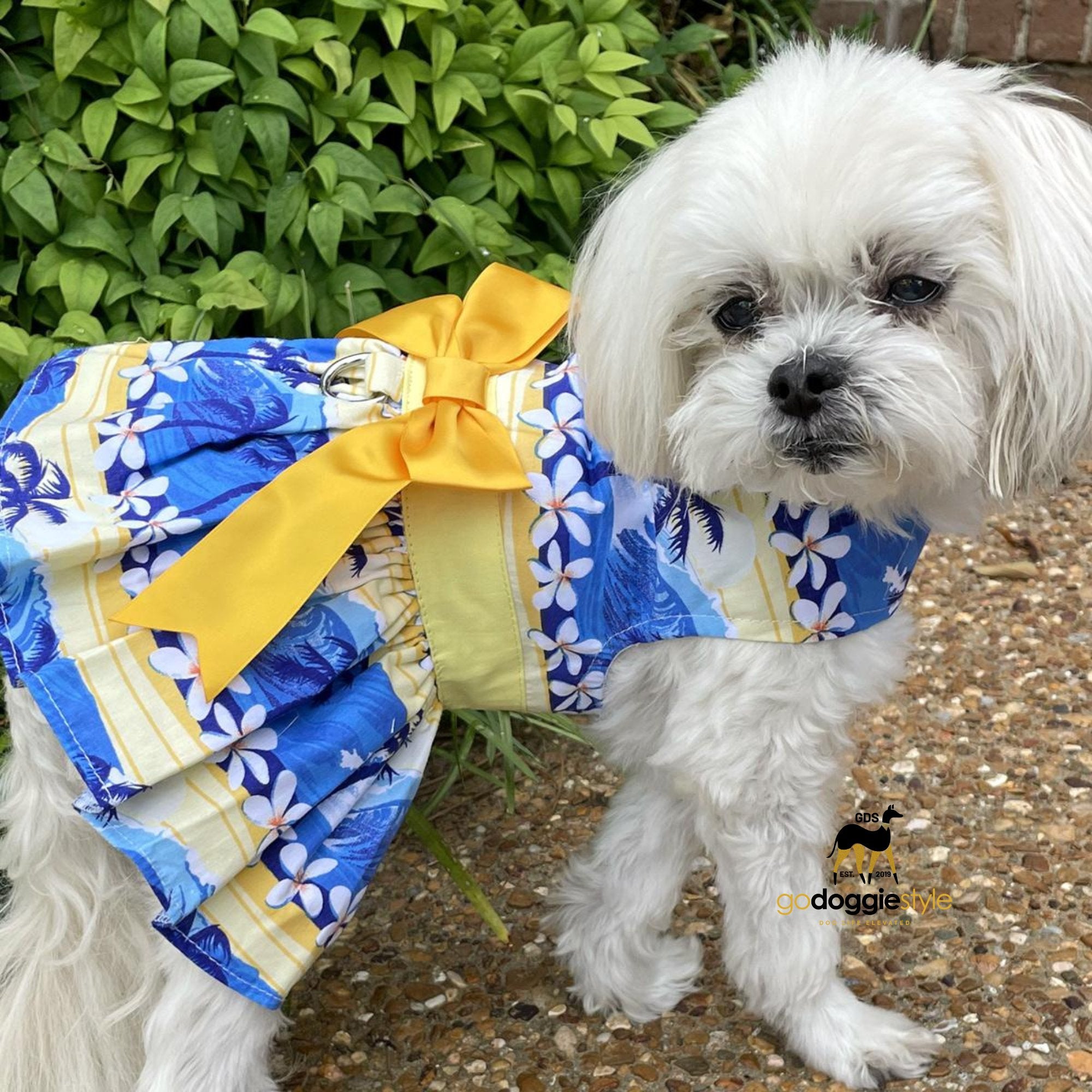 Catching Waves Dog Dress with Matching Leash - Spring Summer Dog Dress - Beach Ocean Dog Dress With Bow - XS to XL - 3 to 30 lbs - godoggiestyle
