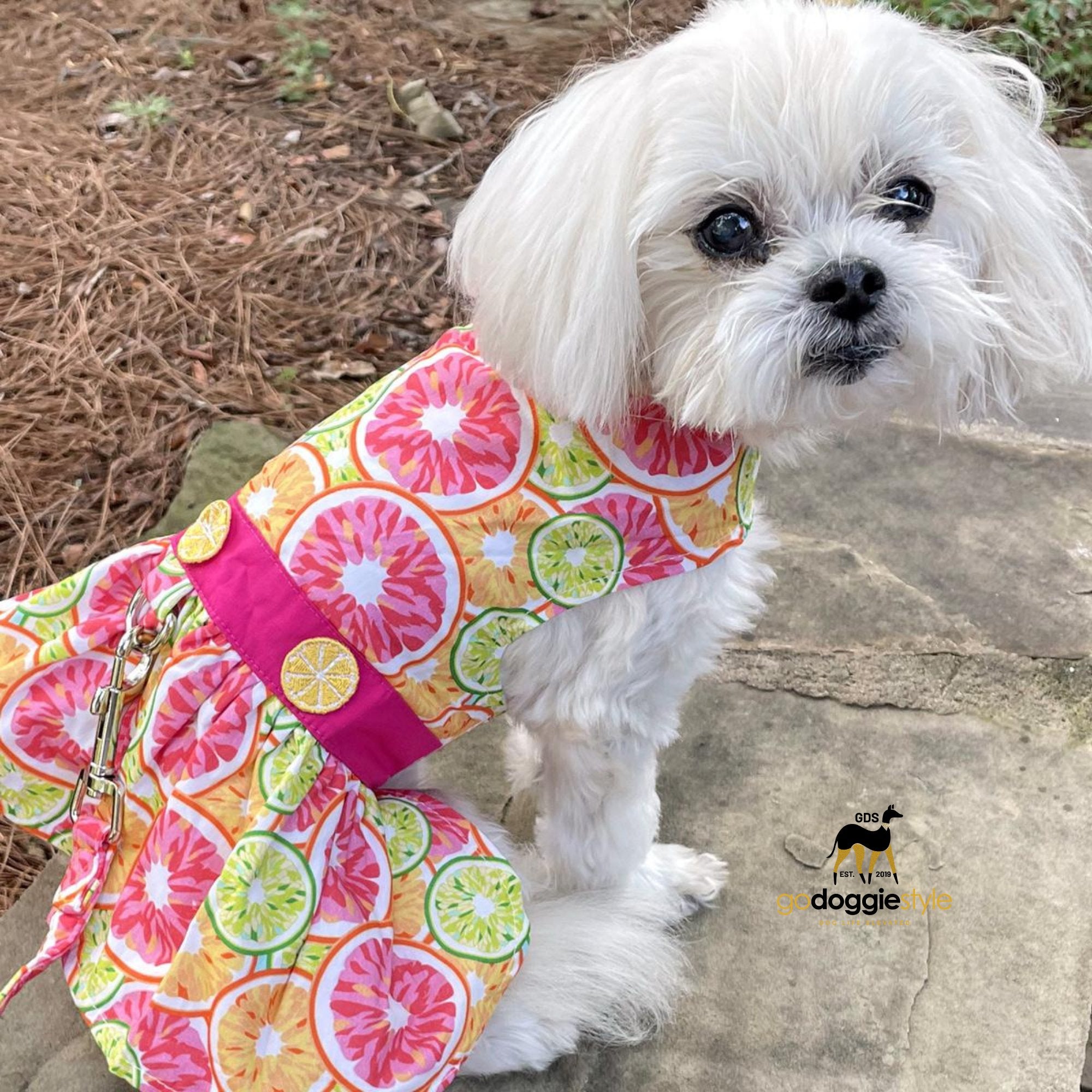 Citrus Slice Dog Harness Dress With Leash OR Camp Shirt - Spring Holiday Easter Dog Dress Summer - XS to XL - 3 to 30 lbs - godoggiestyle