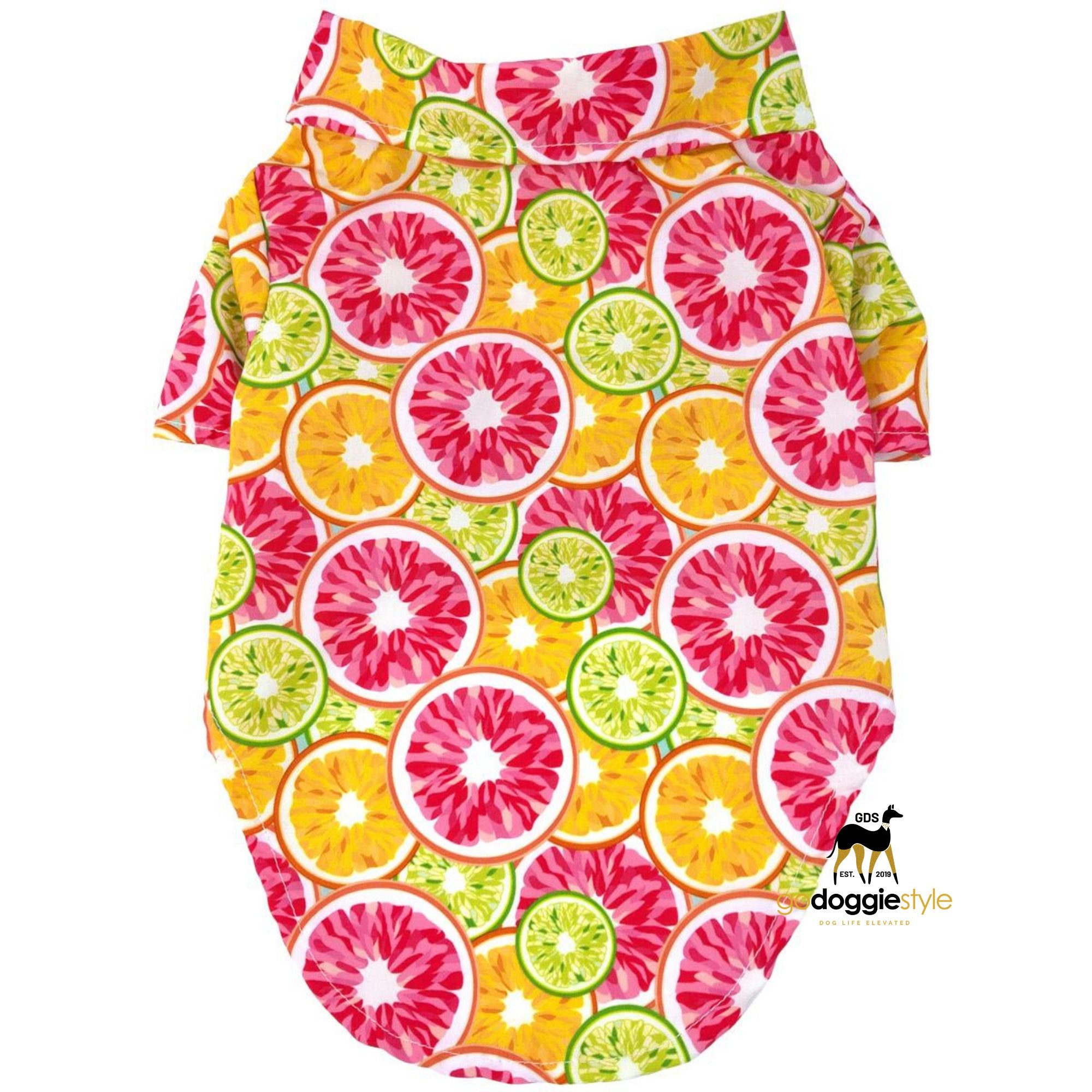 Citrus Slice Dog Harness Dress With Leash OR Camp Shirt - Spring Holiday Easter Dog Dress Summer - XS to XL - 3 to 30 lbs - godoggiestyle
