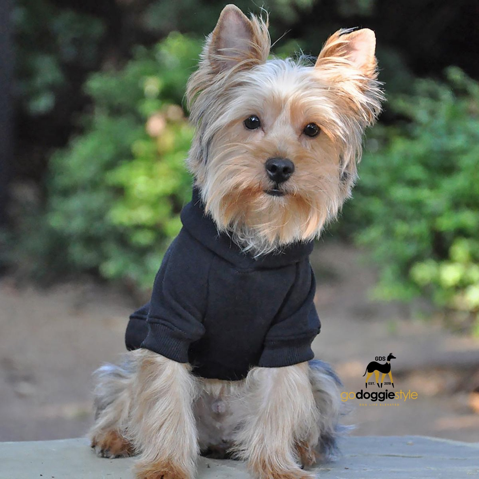 Cotton Rich Flex-fit Dog Hoodie - Black - 95% Cotton - Soft Thick Warm Dog Hoodie - Dog Hoodie With Pocket - Leash Hole - Size XS to 4XL - godoggiestyle