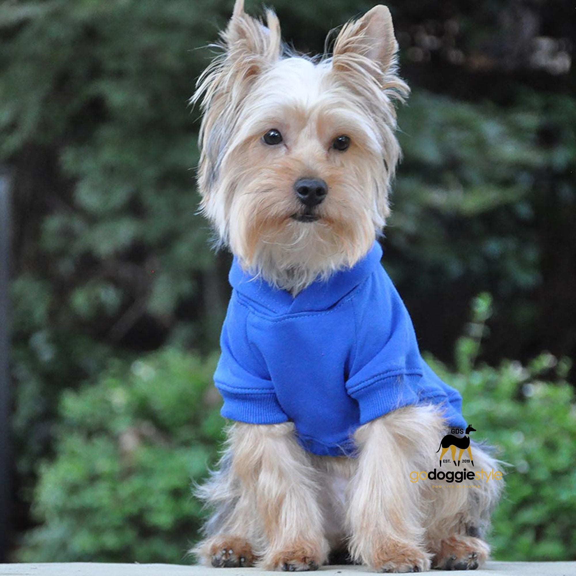 Cotton Rich Flex-fit Dog Hoodie - Blue - 95% Cotton - Soft Thick Warm Dog Hoodie - Dog Hoodie With Pocket - Leash Hole - Size XS to 4XL - godoggiestyle