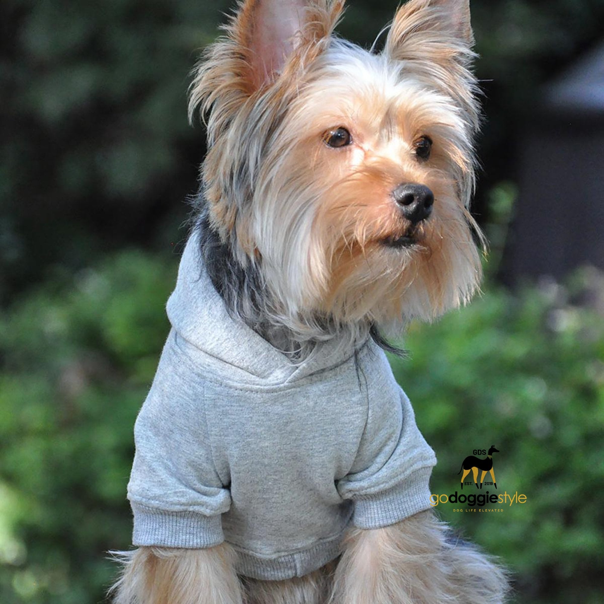 Cotton Rich Flex-fit Dog Hoodie - Gray - 95% Cotton - Soft Thick Warm Dog Hoodie - Dog Hoodie With Pocket - Leash Hole - Size XS to 4XL - godoggiestyle