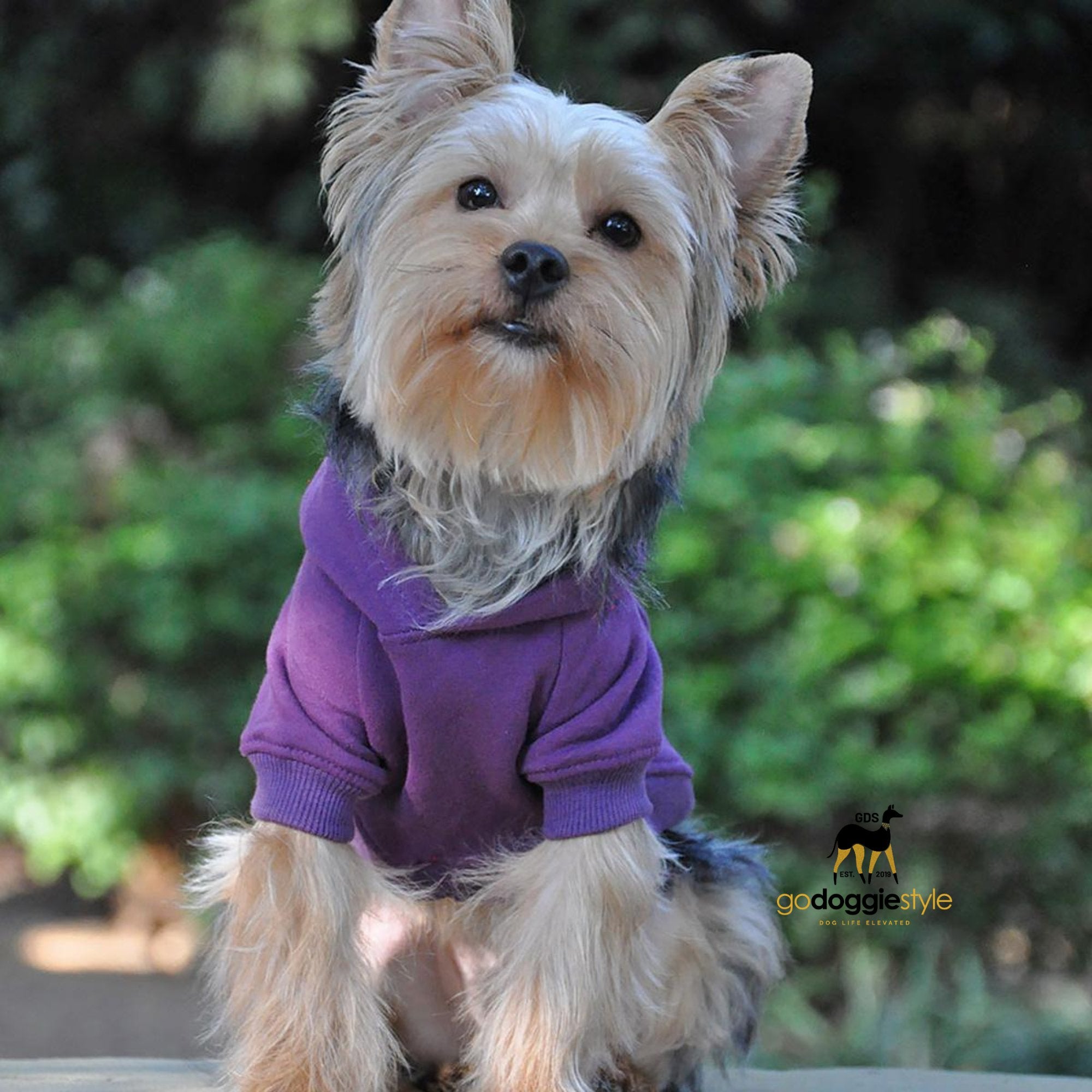 Cotton Rich Flex-fit Dog Hoodie - Purple - 95% Cotton - Soft Thick Warm Dog Hoodie - Dog Hoodie With Pocket - Leash Hole - Size XS to 4XL - godoggiestyle