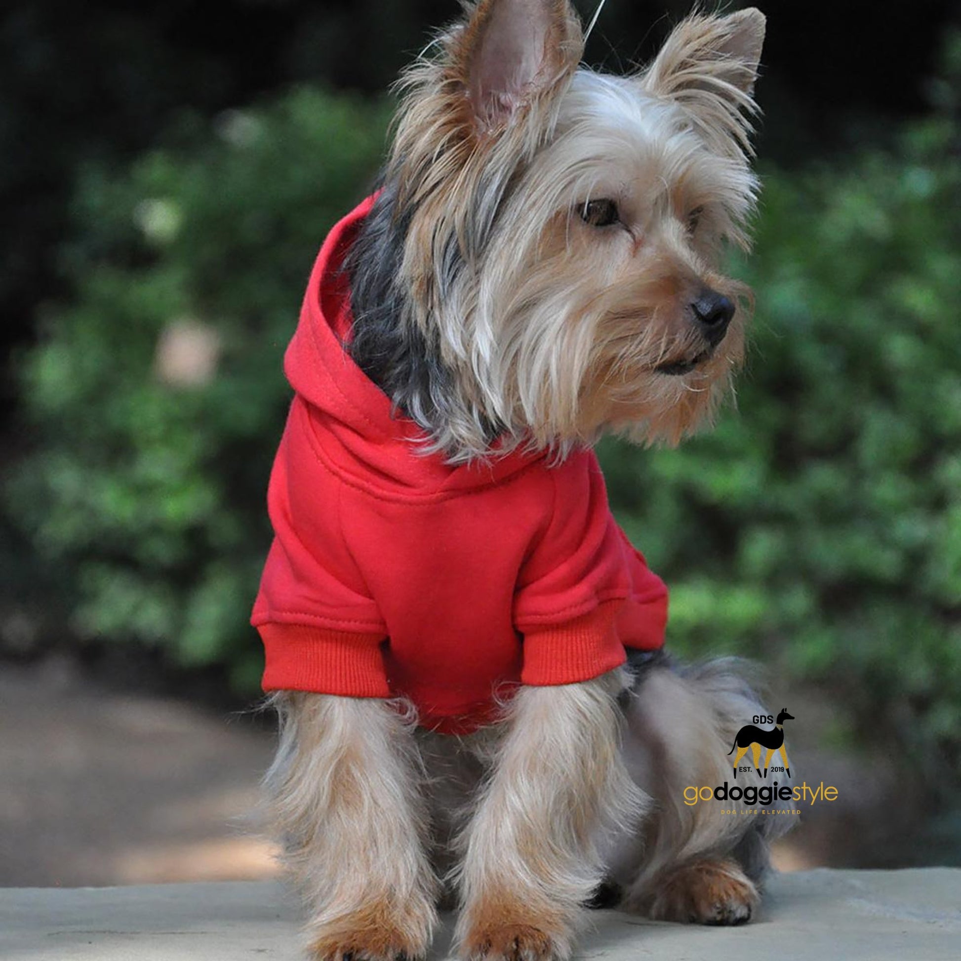 Cotton Rich Flex-fit Dog Hoodie - Red - 95% Cotton - Soft Thick Warm Dog Hoodie - Dog Hoodie With Pocket - Leash Hole - Size XS to 4XL - godoggiestyle