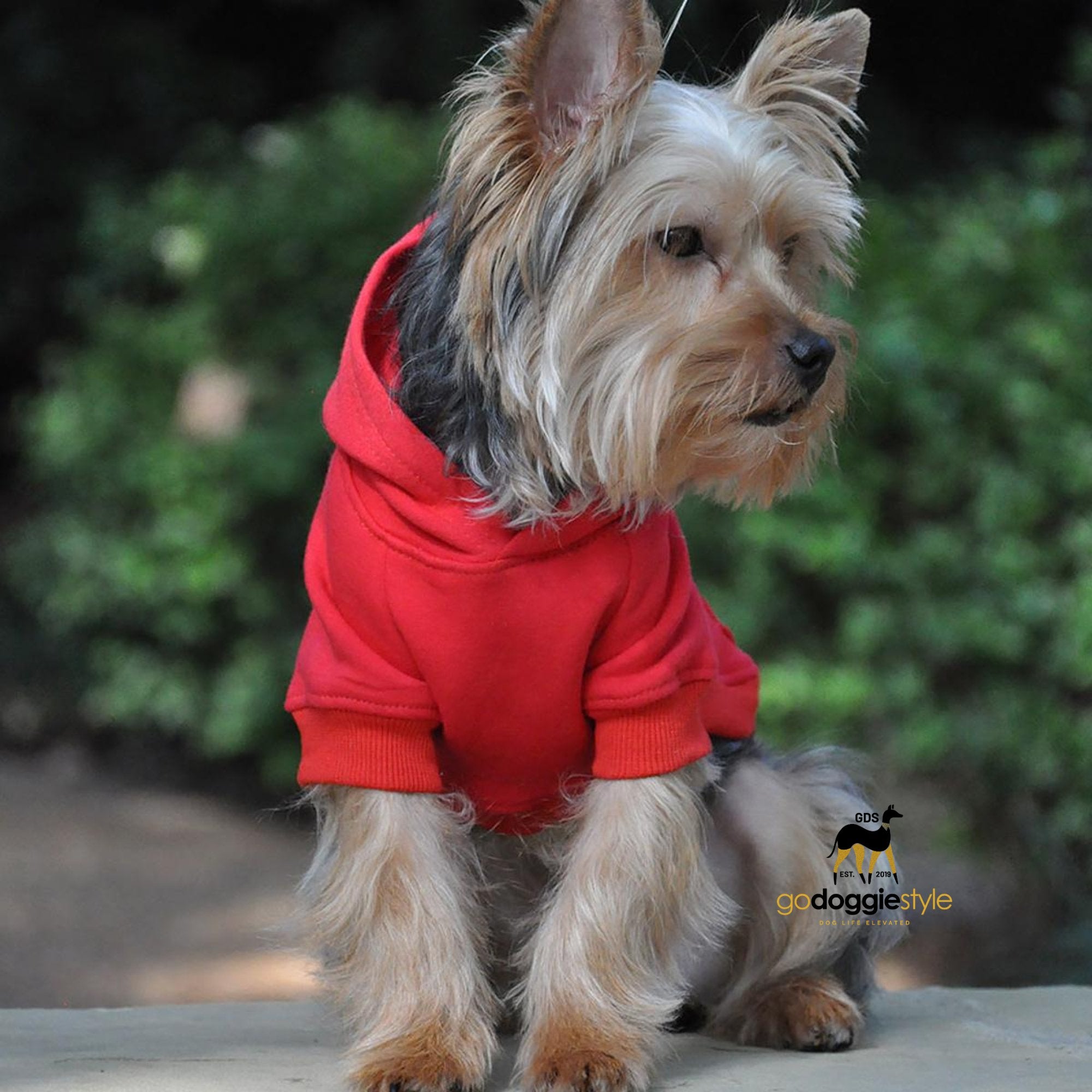 Cotton Rich Flex-fit Dog Hoodie - Red - 95% Cotton - Soft Thick Warm Dog Hoodie - Dog Hoodie With Pocket - Leash Hole - Size XS to 4XL - godoggiestyle