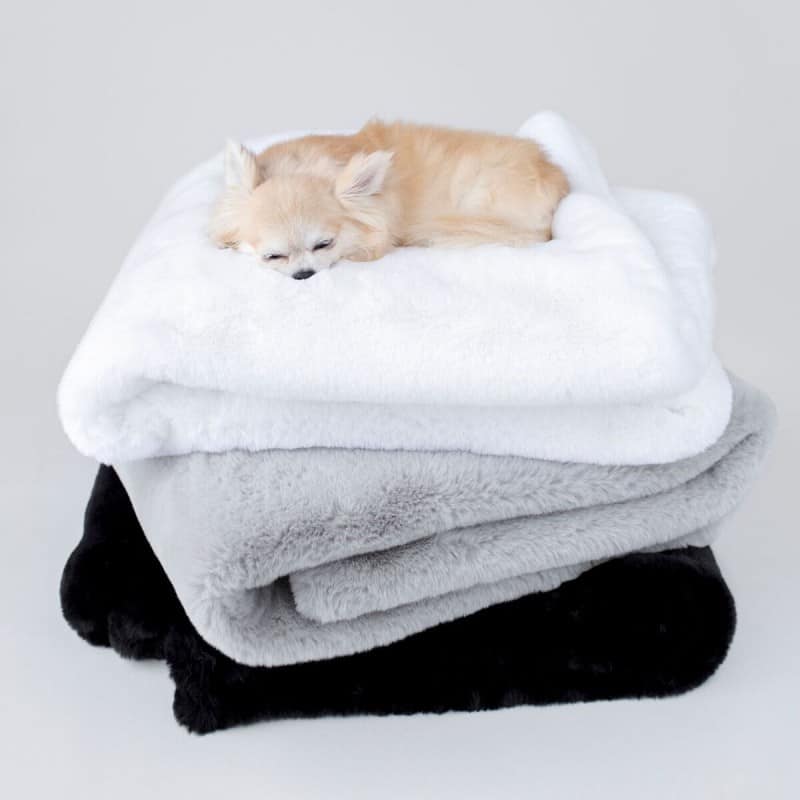 Divine Dog Blanket - godoggiestyle