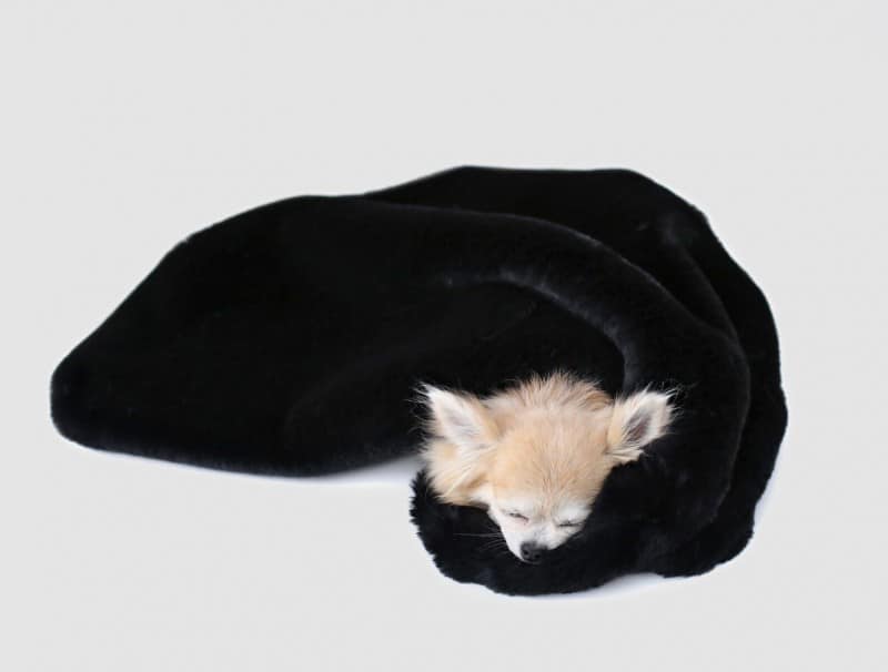 Divine Dog Blanket - godoggiestyle