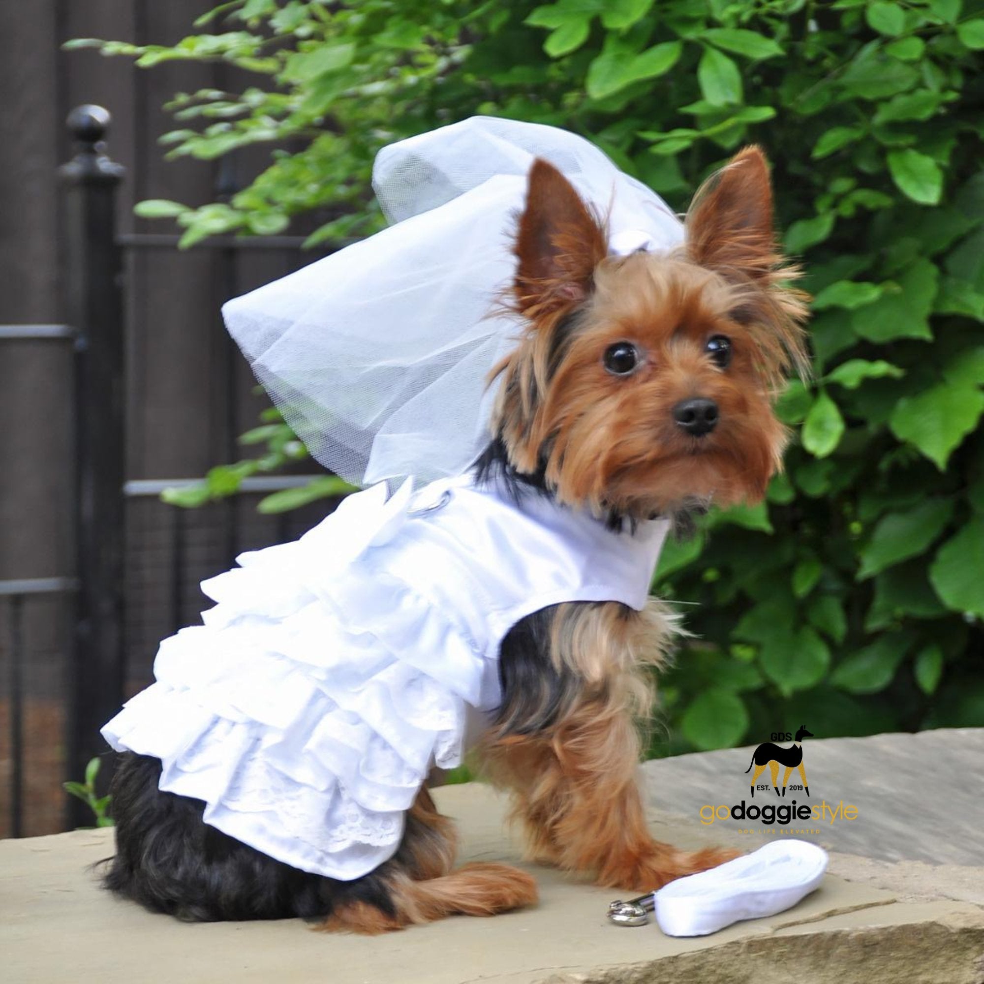 Dog Wedding Harness Dress & Veil Set with Matching Leash - Wedding Dog Dress - White Satin Dog Dress With Bow - XS to XL - 3 to 30 lbs - godoggiestyle