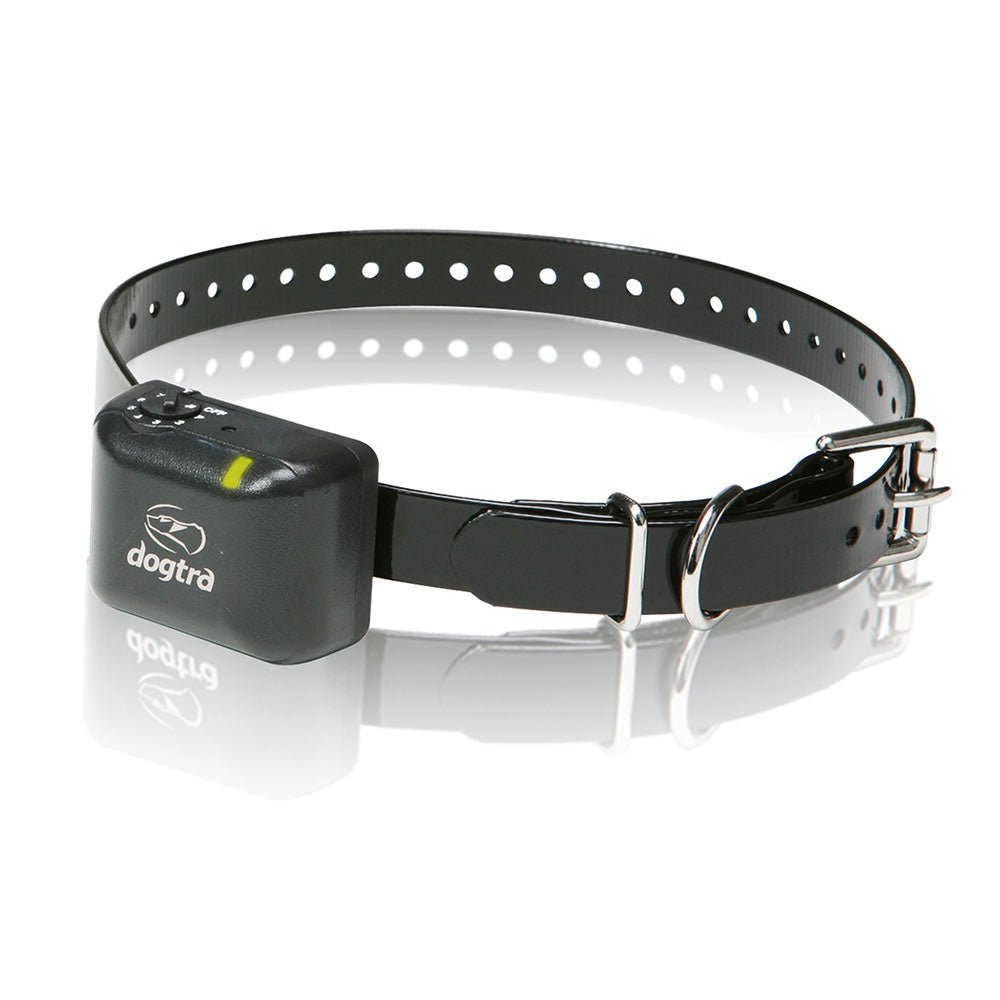Dogtra No Bark Collar Small / Medium Black - godoggiestyle
