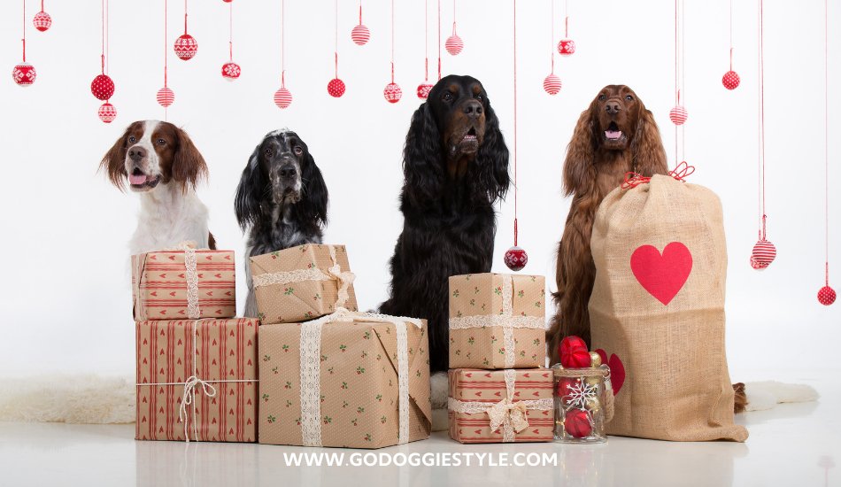 Go Doggie Style - Gift Card - General - Option 2 - godoggiestyle