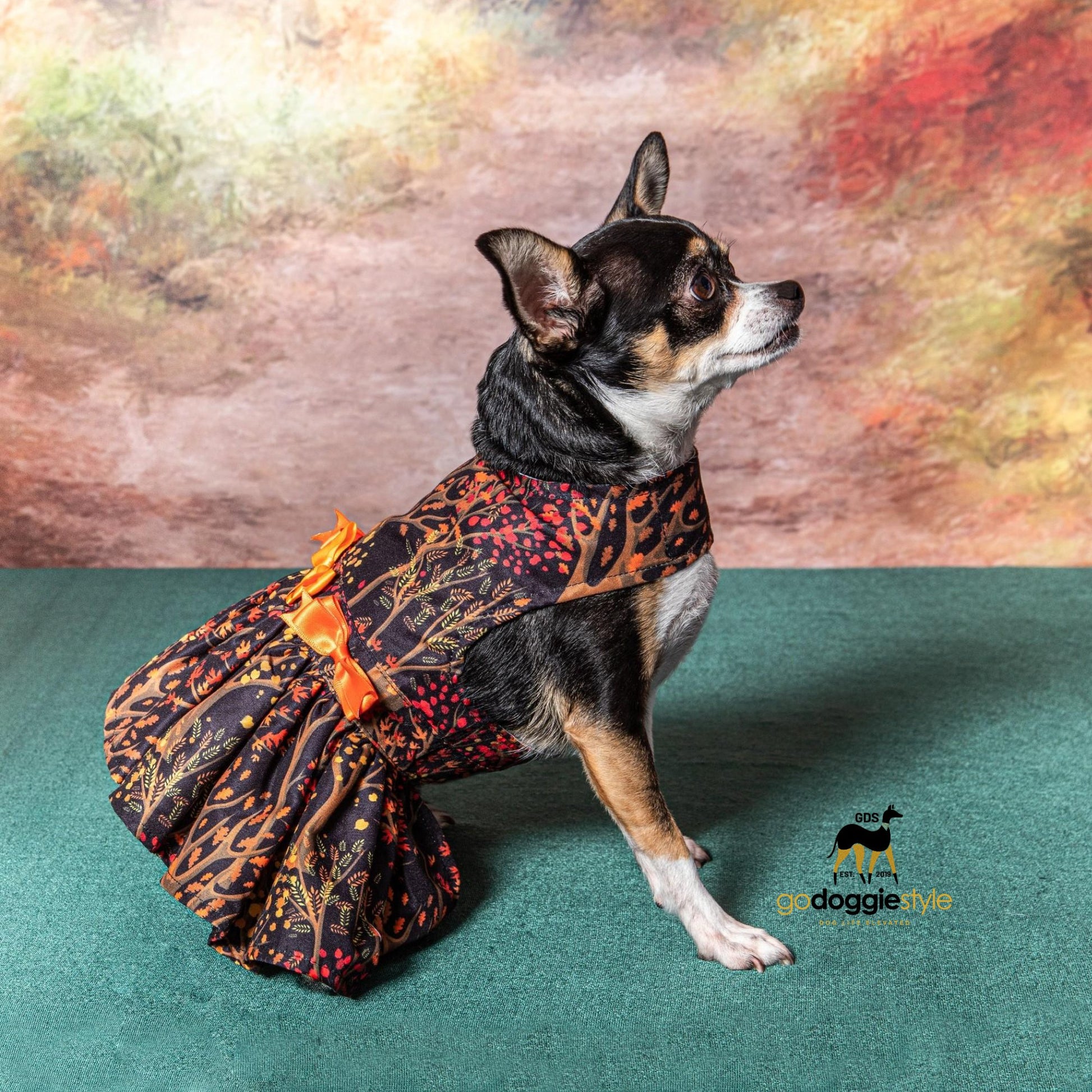 Halloween Dog Harness Dress With Leash - Fall Leaves With Three Bows - Fall Holiday Dog Dress - XS to XL - 3 to 30 lbs - godoggiestyle