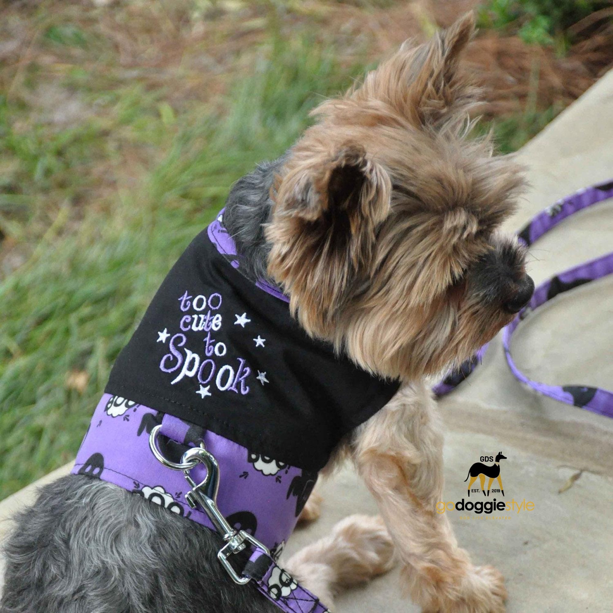Halloween Dog Harness With Leash-Too Cute to Spook Embroidery-Fall Holiday Dog Harness-Purple With Black Ghosts-XS to L-3 to 25 lbs-godoggiestyle