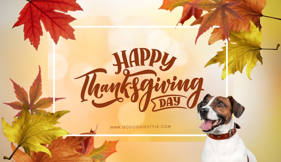 Happy Thanksgiving Day - Gift Card - godoggiestyle