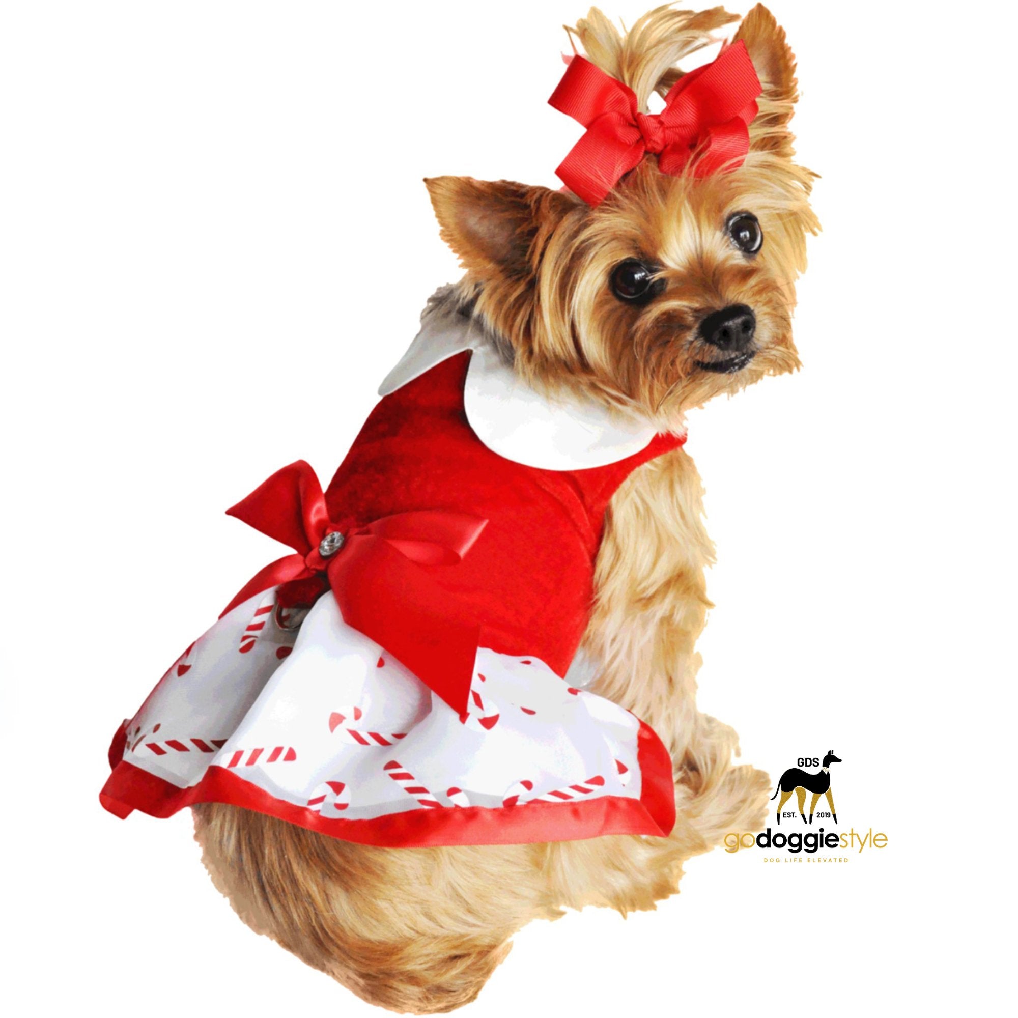 Holiday Dog Harness Dress With Matching Leash - Candy Canes - Velvet With White Satin Bow & Rhinestones - Christmas Dog Dress - XS to XL - 3 to 30 lbs - godoggiestyle