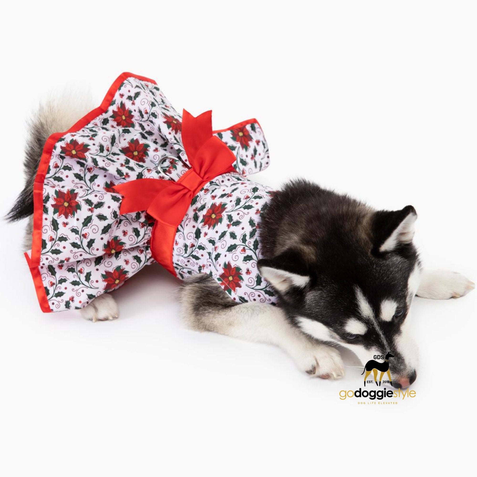 Holly Holiday Dog Harness Dress With Leash - Holly With Red Satin Bow - Fall Winter Holiday Christmas Dog Dress - XS to XL - 3 to 30 lbs - godoggiestyle
