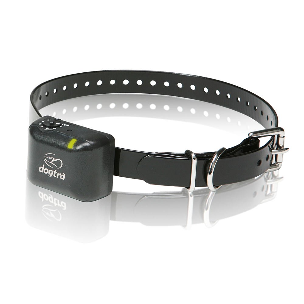 No Bark Collar - godoggiestyle