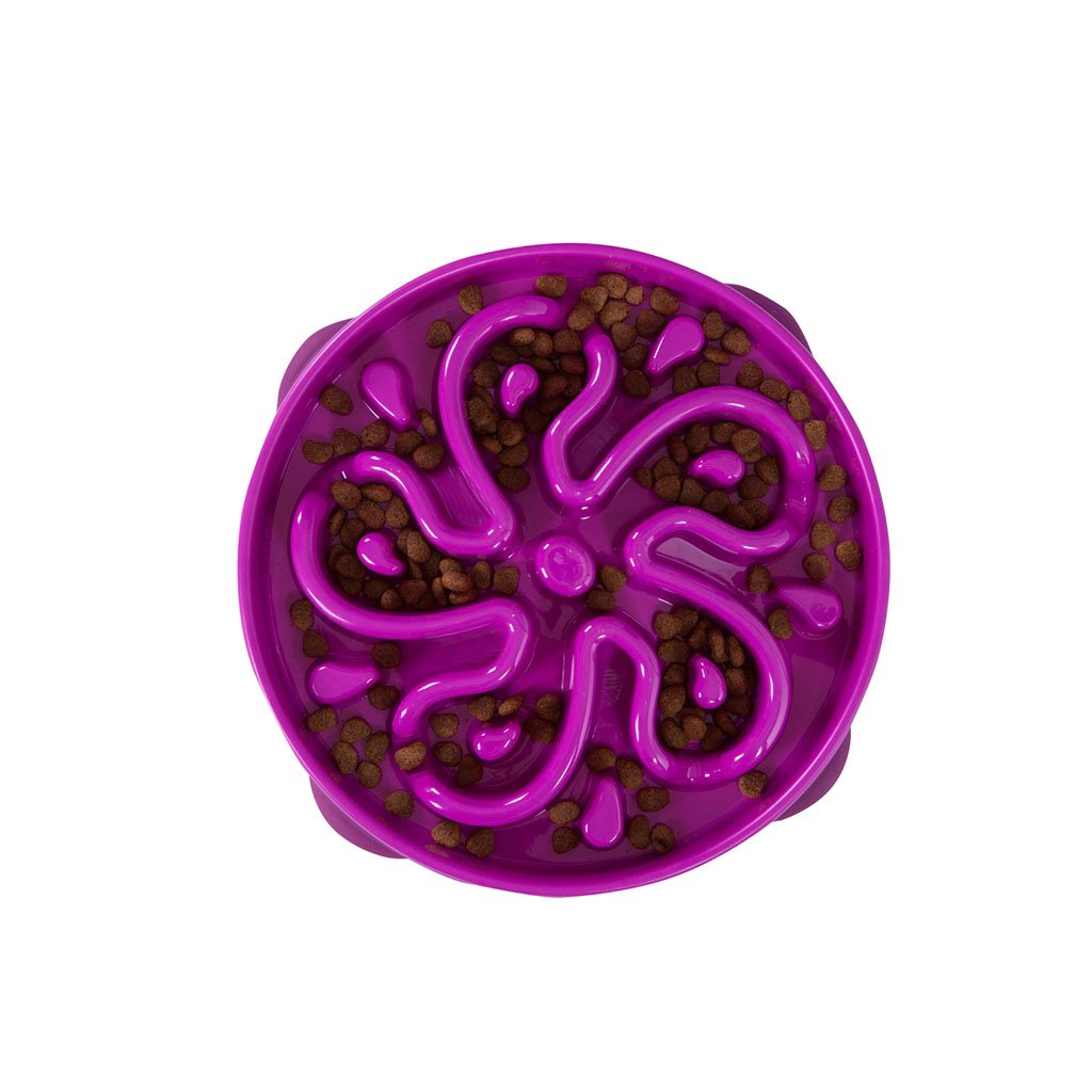 Outward Hound Fun Feeder Slo-Bowl Flower Small Purple 8" x 8" x 2" - godoggiestyle