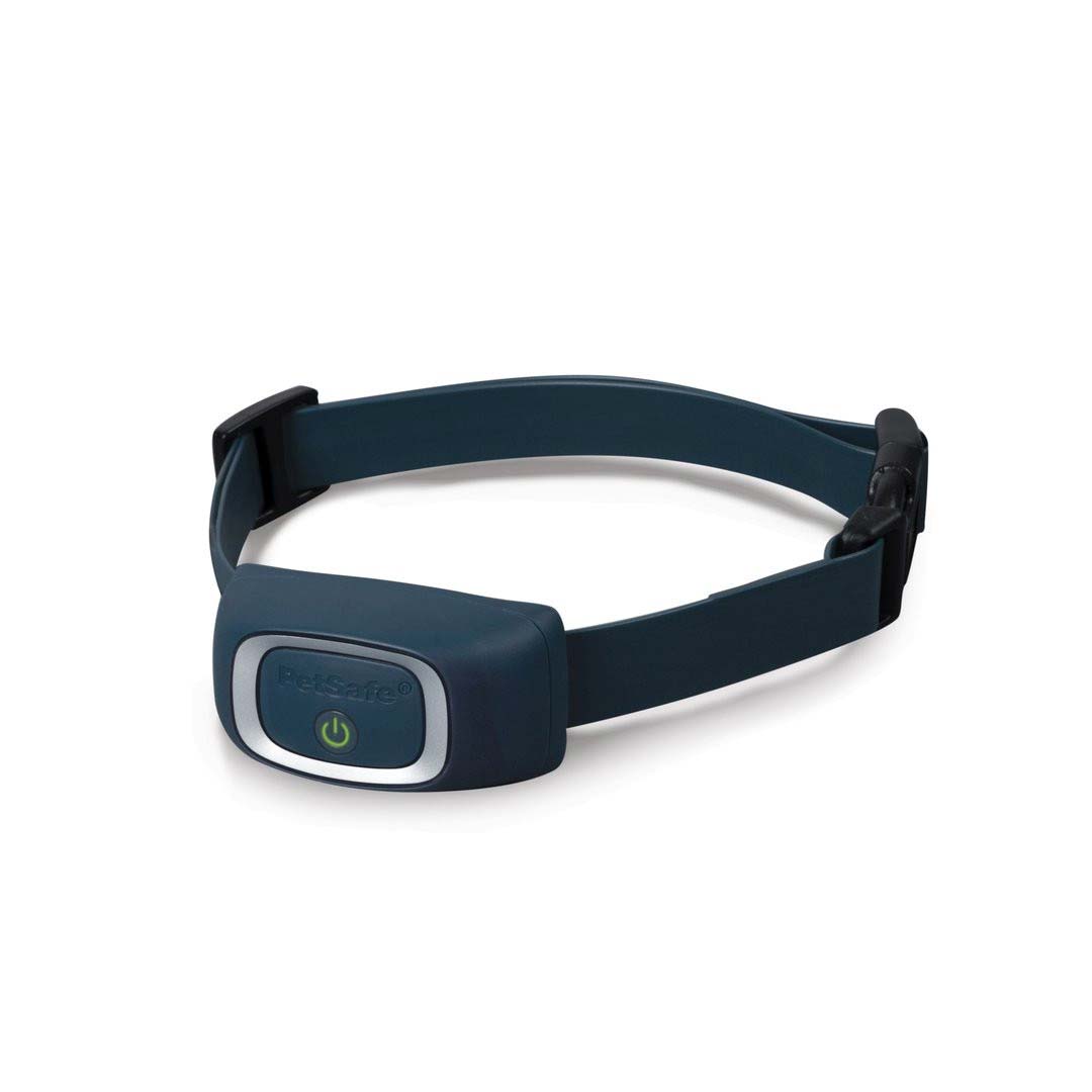 PetSafe Add-A-Dog Receiver Collar Blue - godoggiestyle