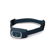 PetSafe Add-A-Dog Receiver Collar Blue - godoggiestyle
