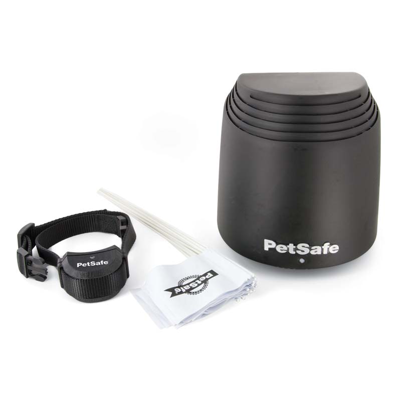 PetSafe Stay + Play Wireless Dog Fence Black - godoggiestyle