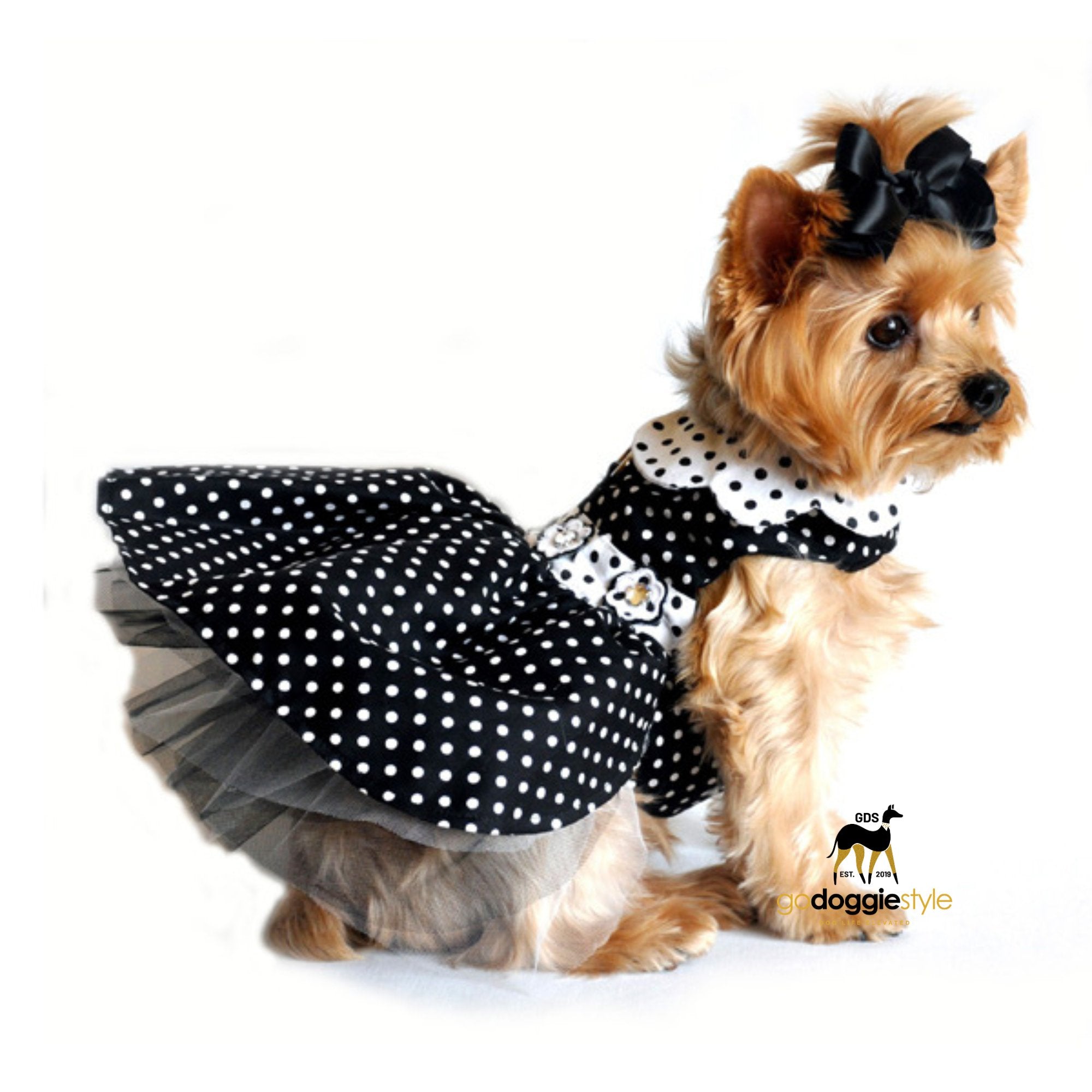 Polka Dot Holiday Dog Harness Dress With Leash - Black & White With Floral Waist - Fall Winter Holiday Christmas Dog Dress - XS to XL - 3 to 30 lbs - godoggiestyle