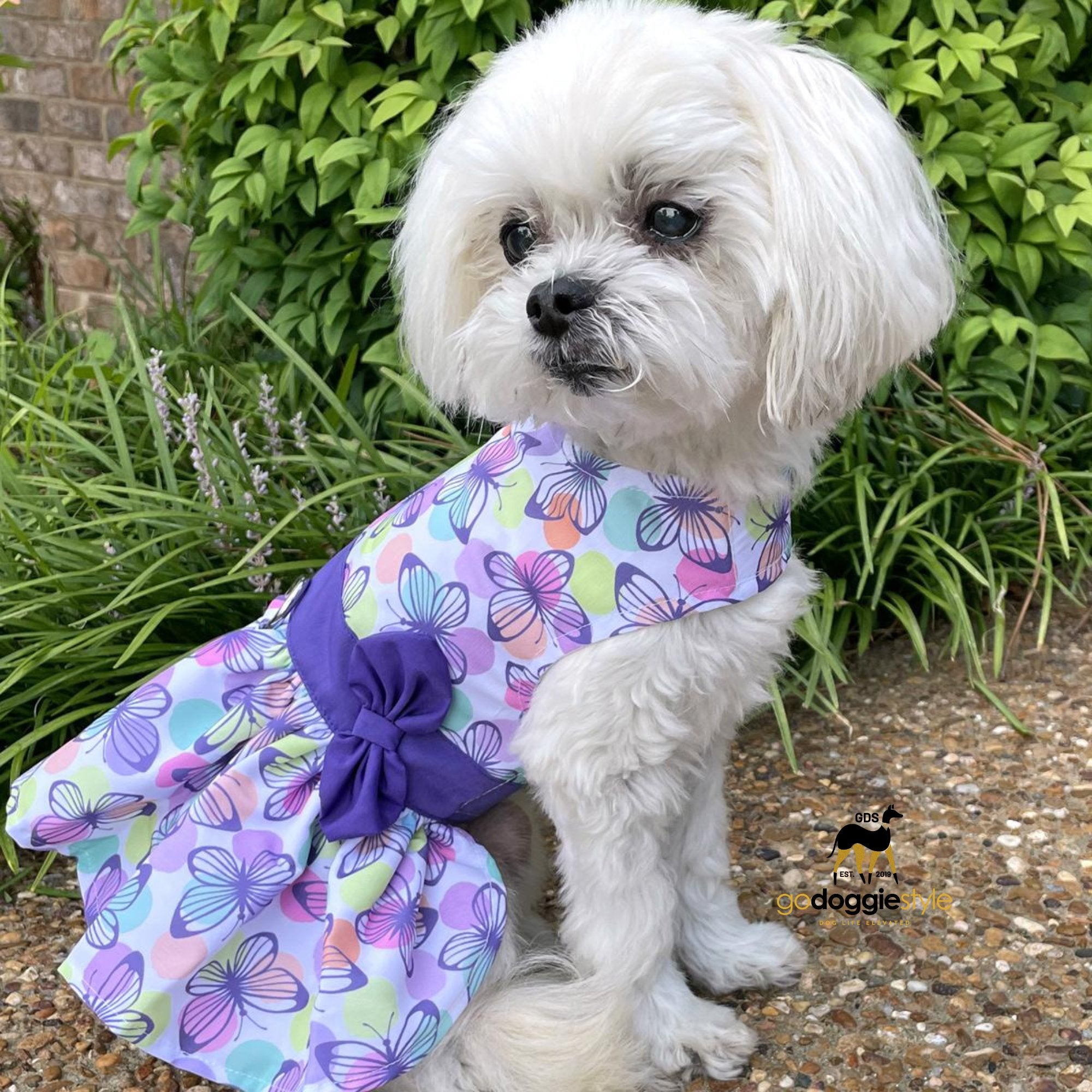 Purple Butterfly Dog Harness Dress With Leash & Bow - Spring Holiday Easter Dog Dress Summer - XS to XL - 3 to 30 lbs - godoggiestyle